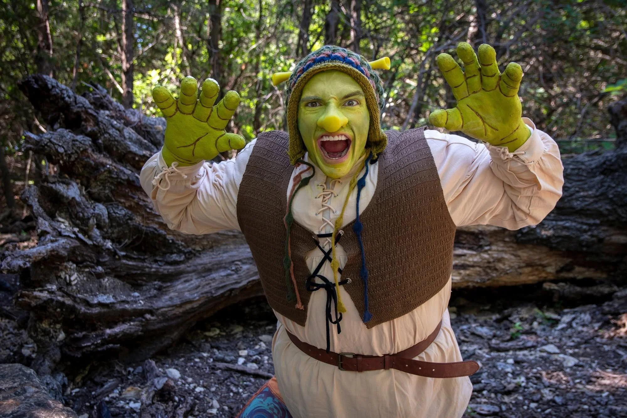 Shrek 22.jpg