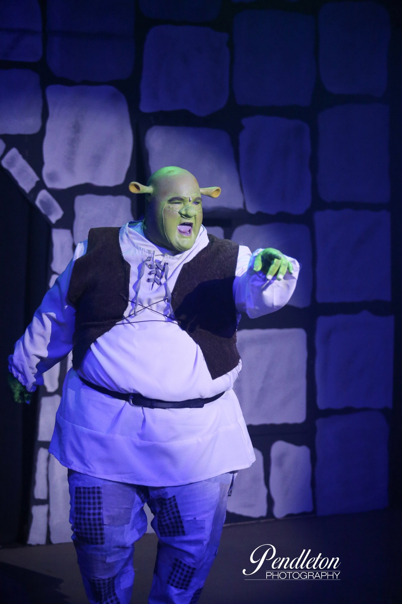 ShrekTFT 11.jpg