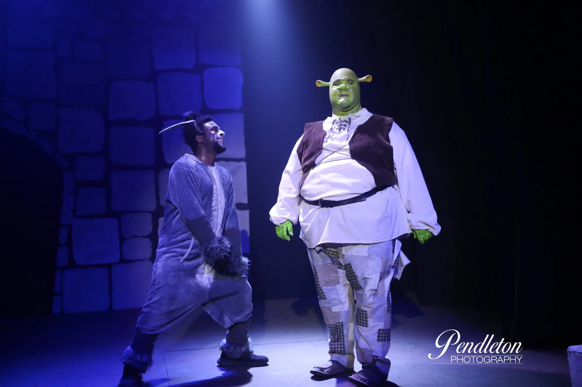 ‘Shrek the Musical @ The Firehouse Theatre