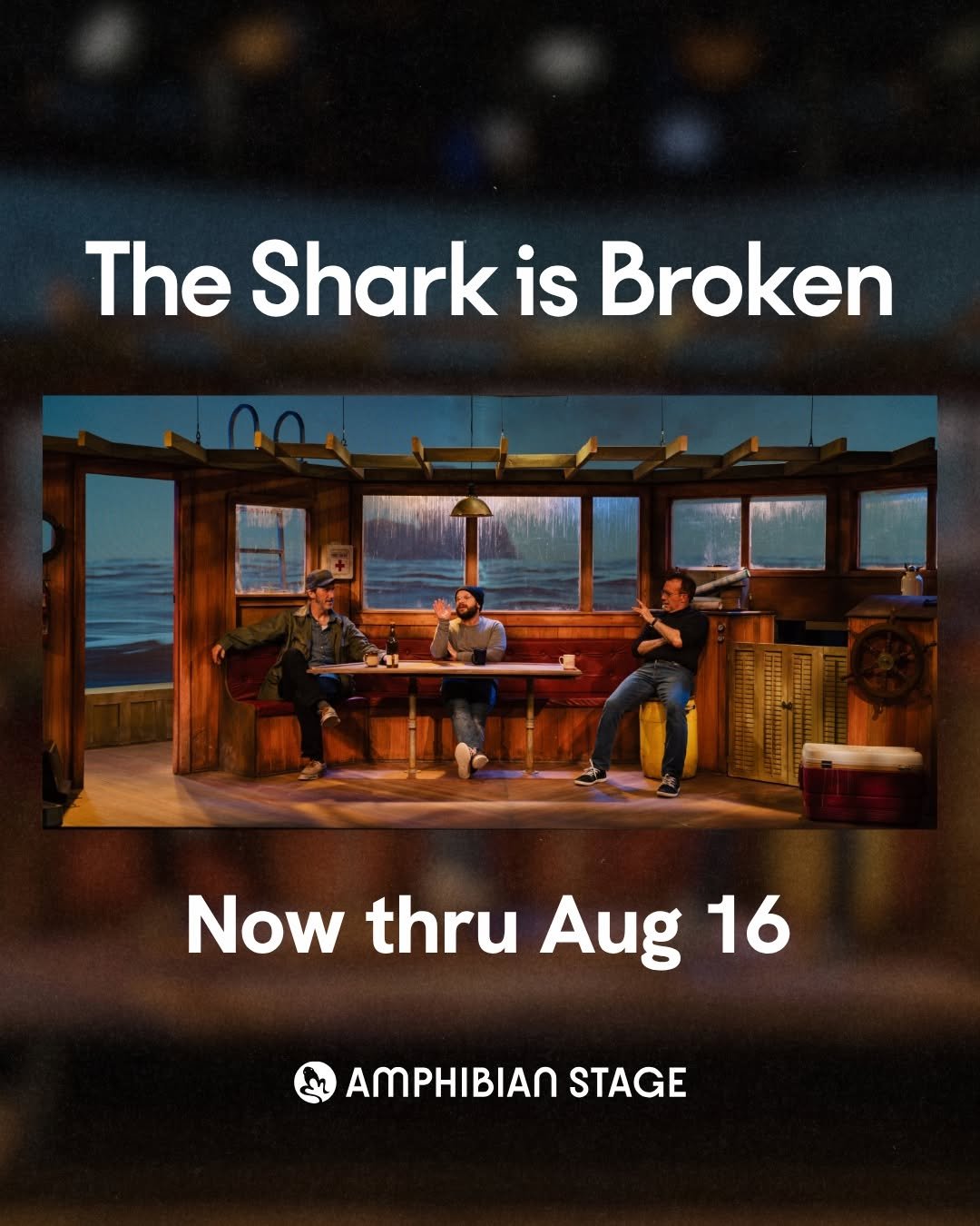 Shark 4.jpg