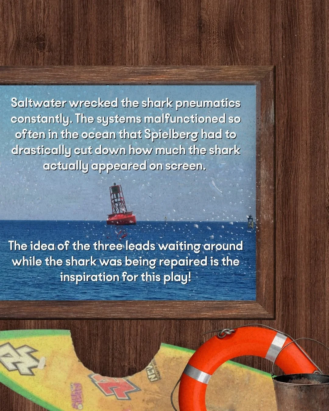 Shark 8.jpg