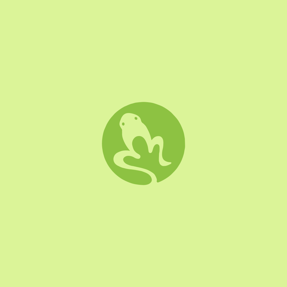 Shark 11.webp
