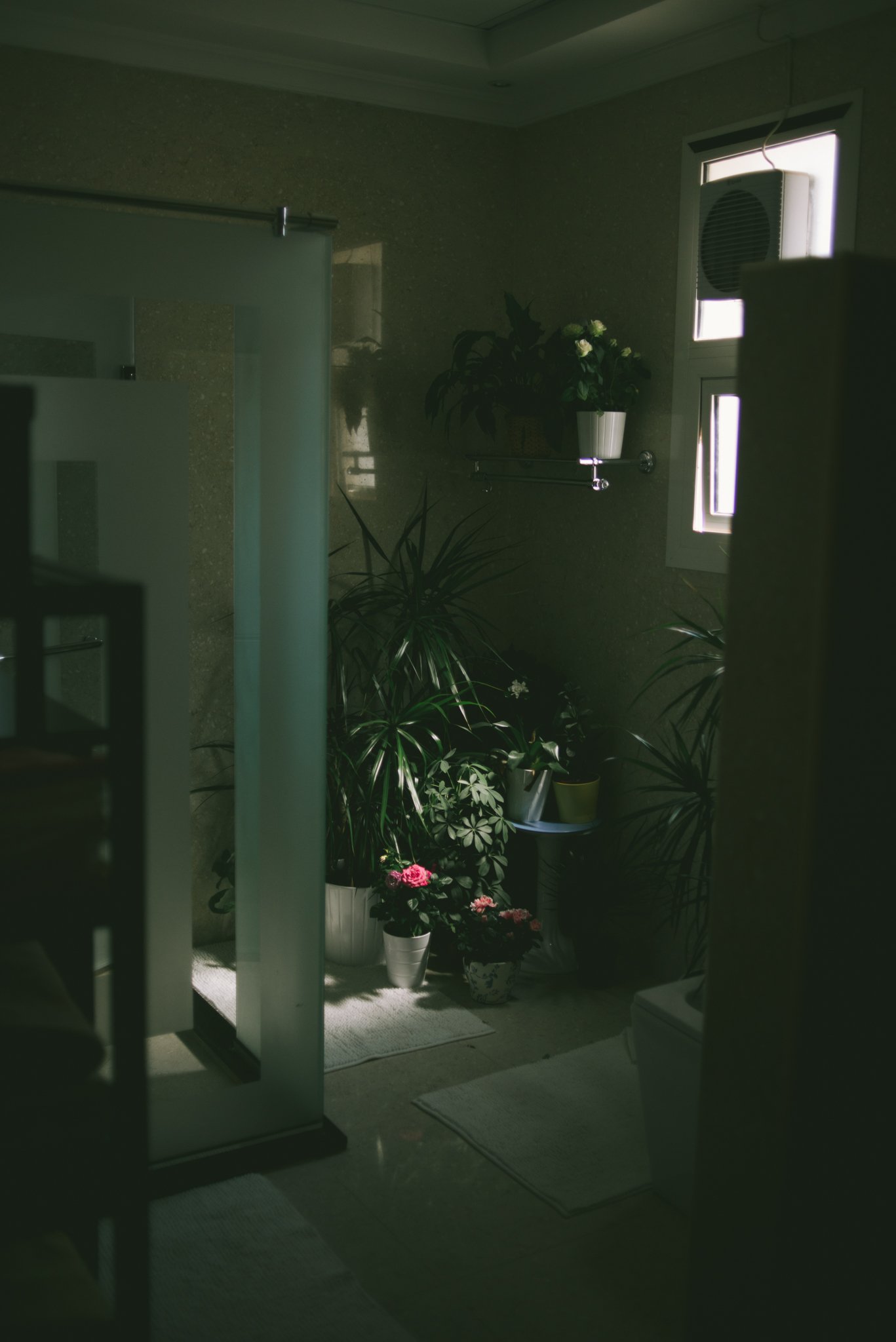 DSC_1314.jpg