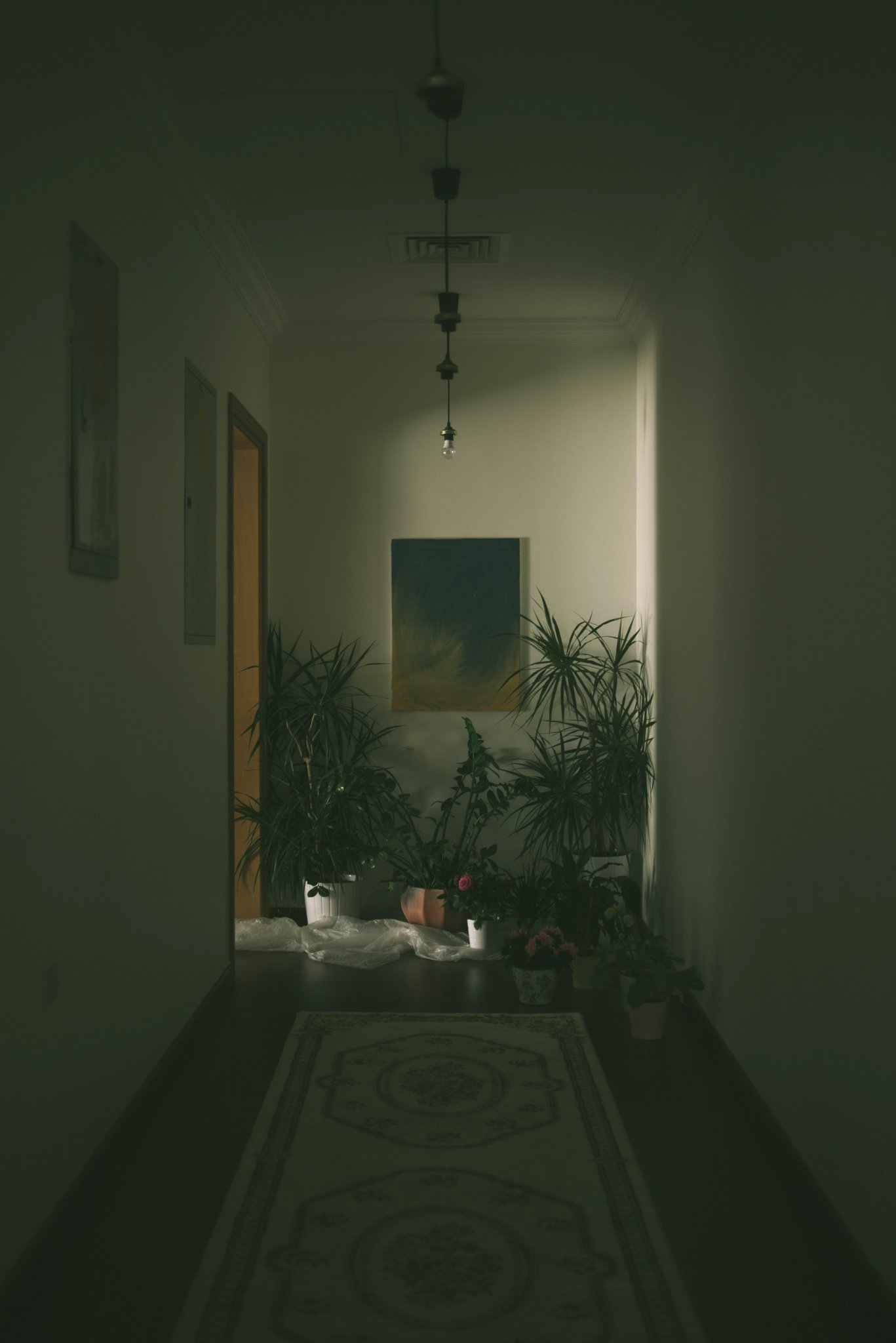 DSC_1410A.jpg