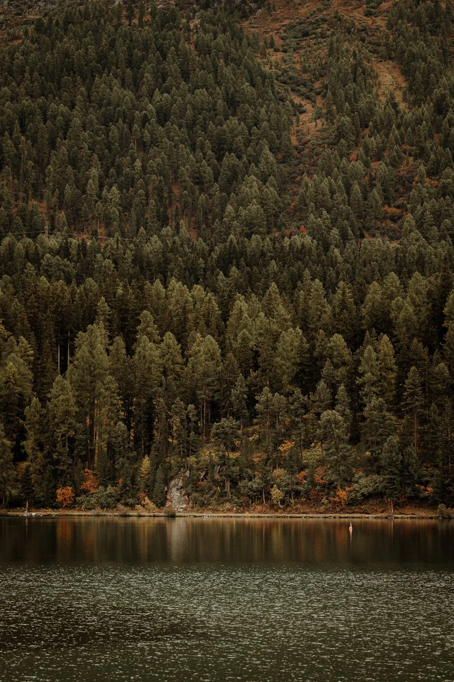 Switzerland Photography St. Moritz by Roberta Dall'Alba-4.jpg