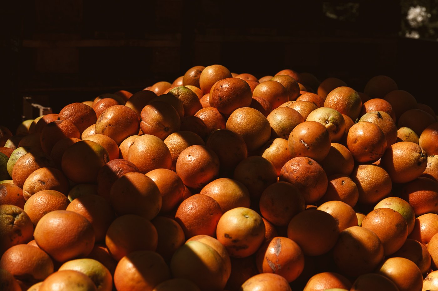 Travel photography by Roberta Dall'Alba-39.jpg