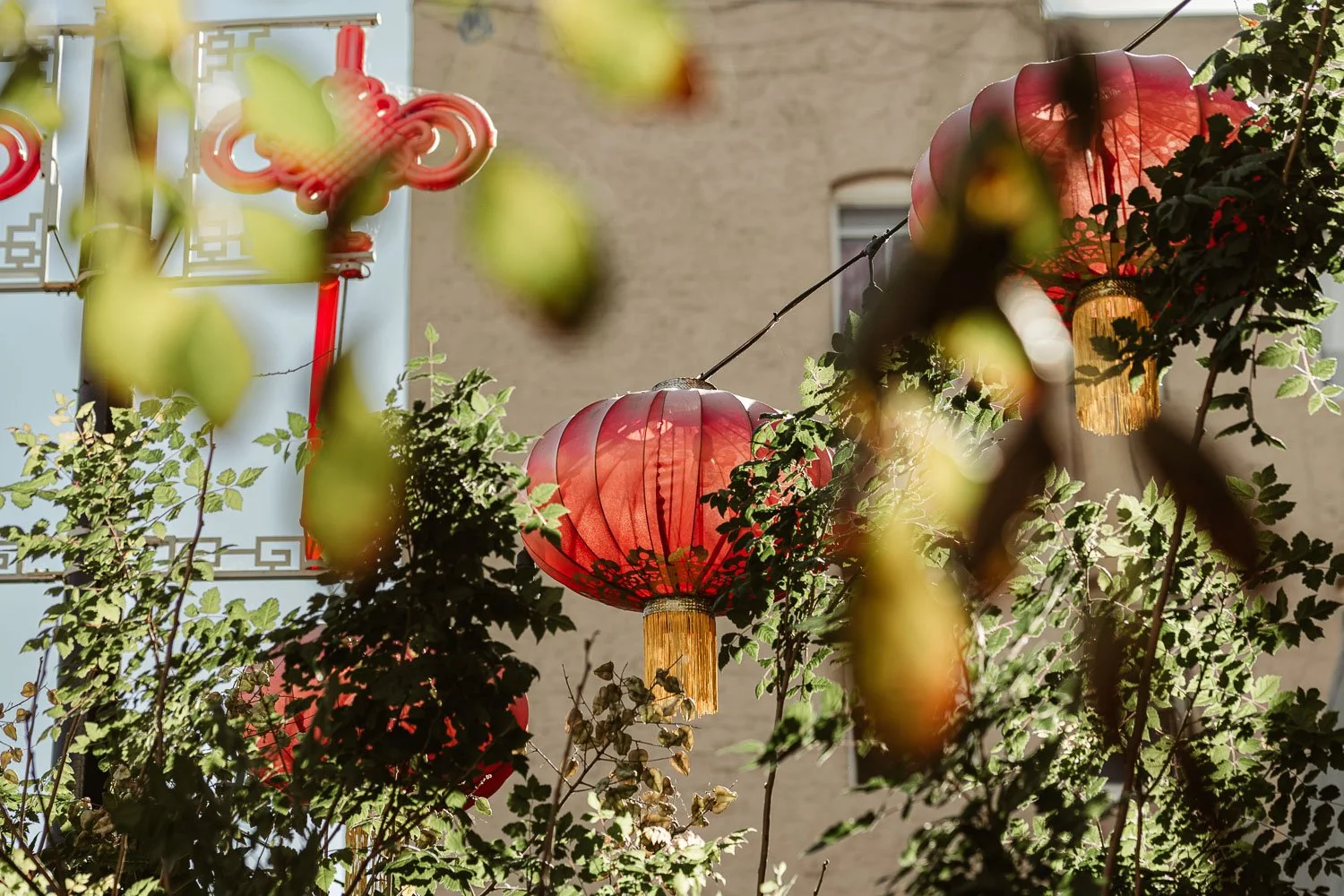San Francisco Chinatown by Roberta Dall'Alba.jpg
