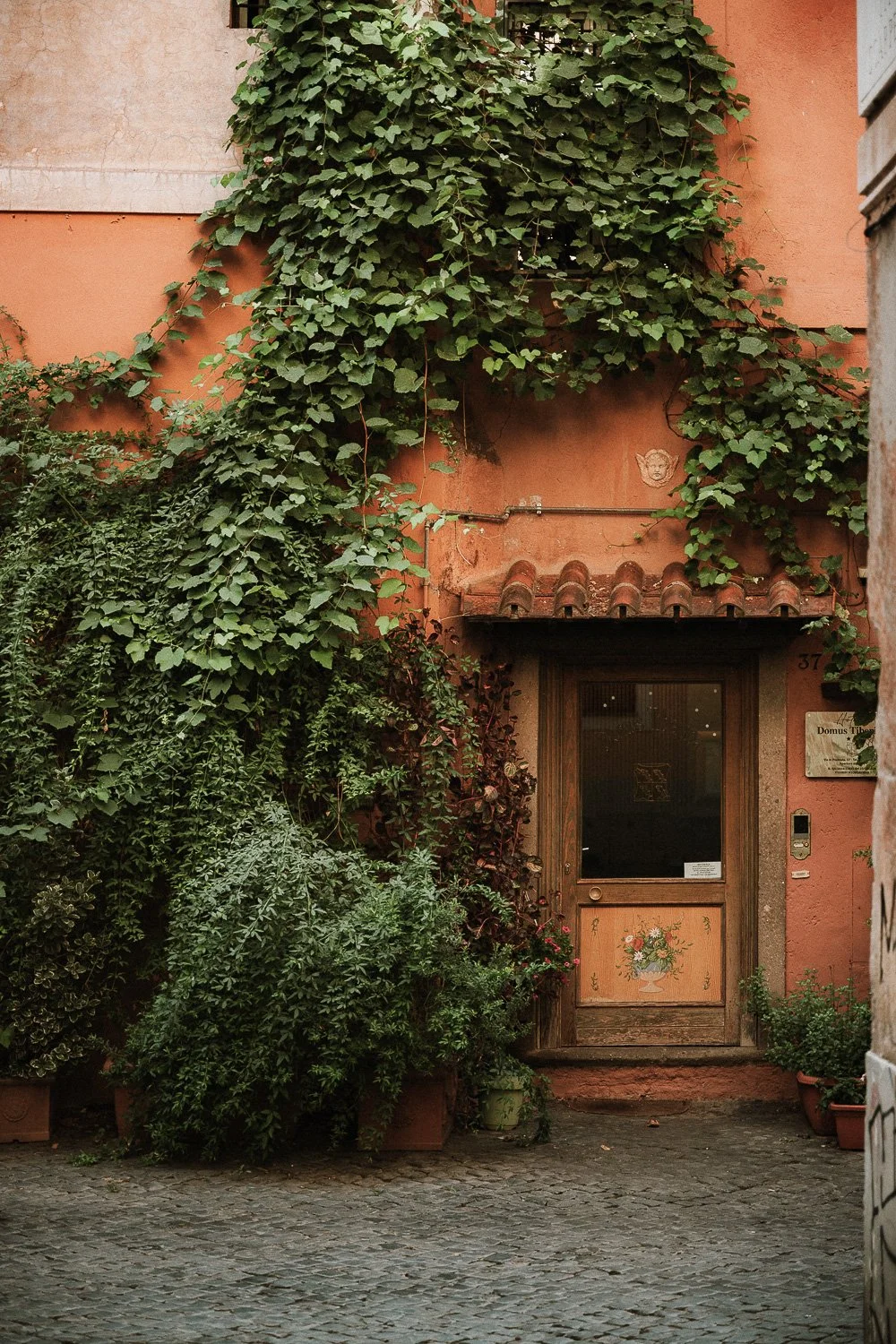 Overgrown Vine Doorway at Domus Tibur.jpg