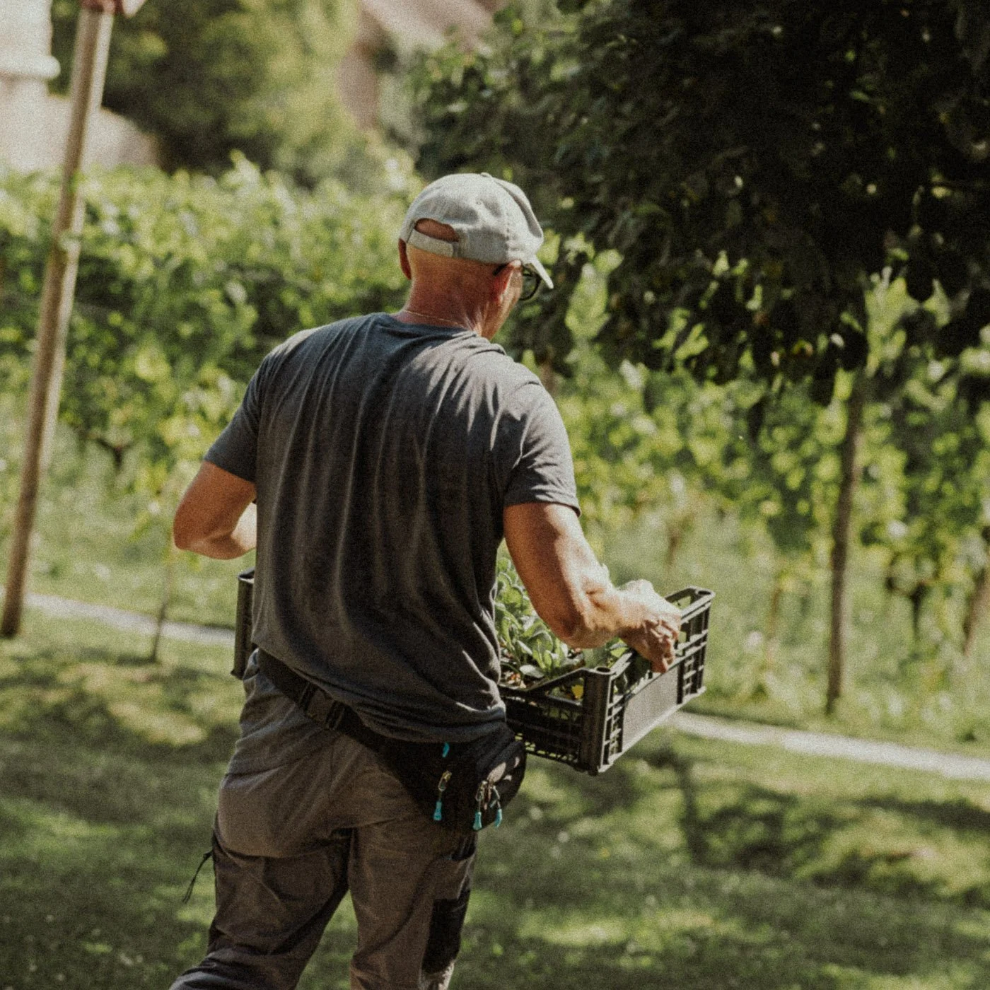 Gardener  at Venissa.jpg