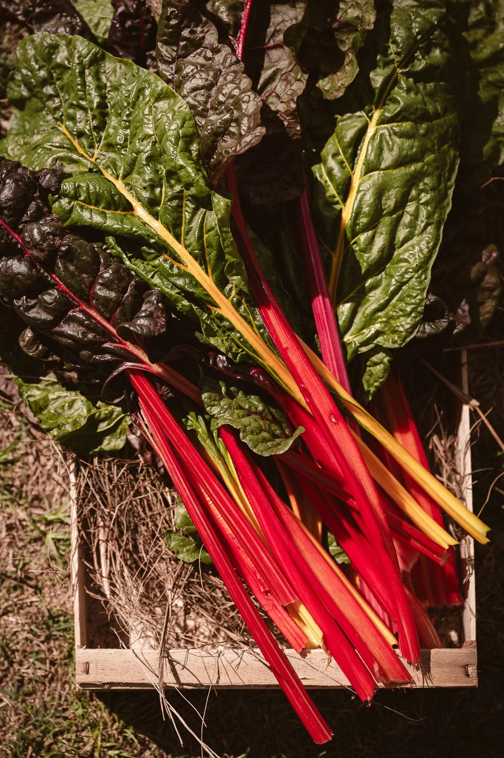 Chateau de la Treyne-website-084.jpg