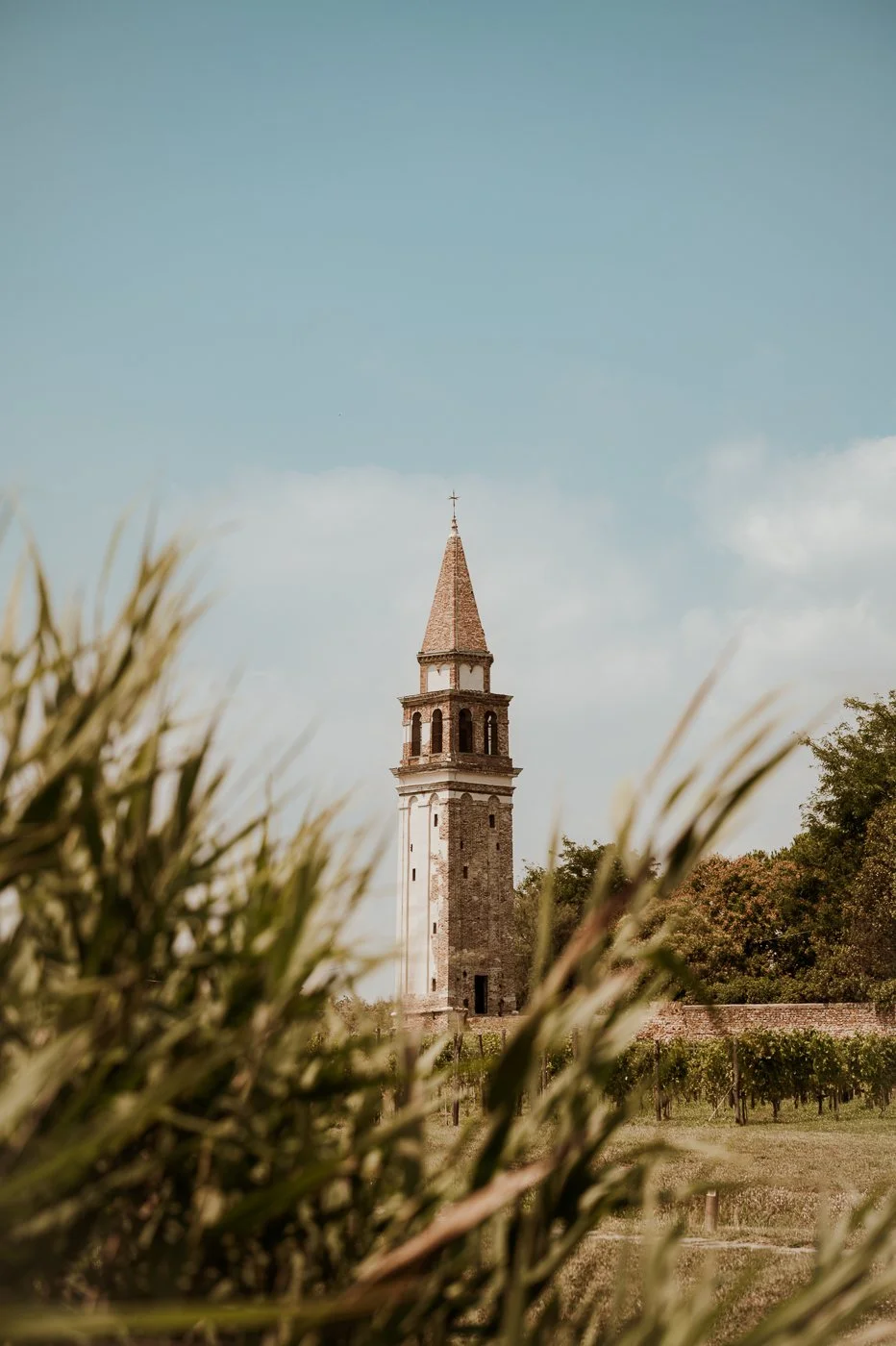 Venissa - Burano-03.jpg