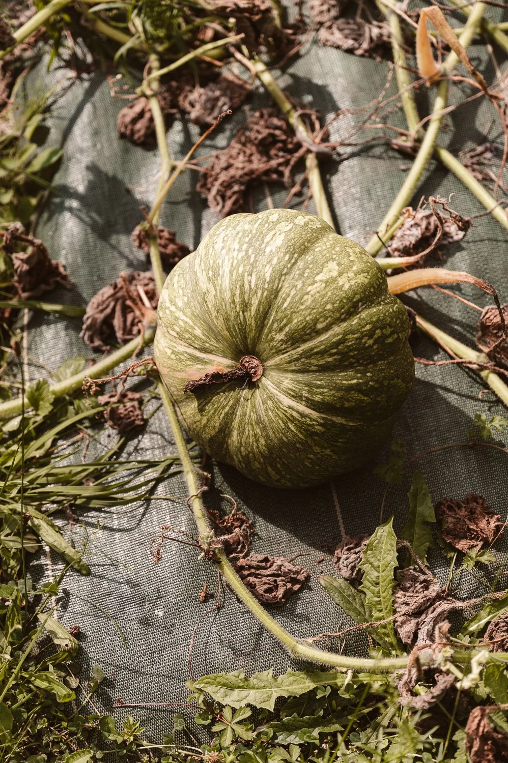 Chateau de la Treyne-website-088.jpg