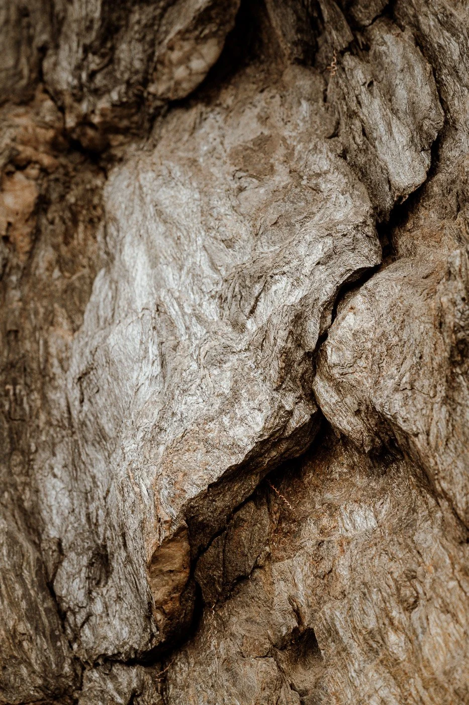 Castel Badia Website-06.jpg