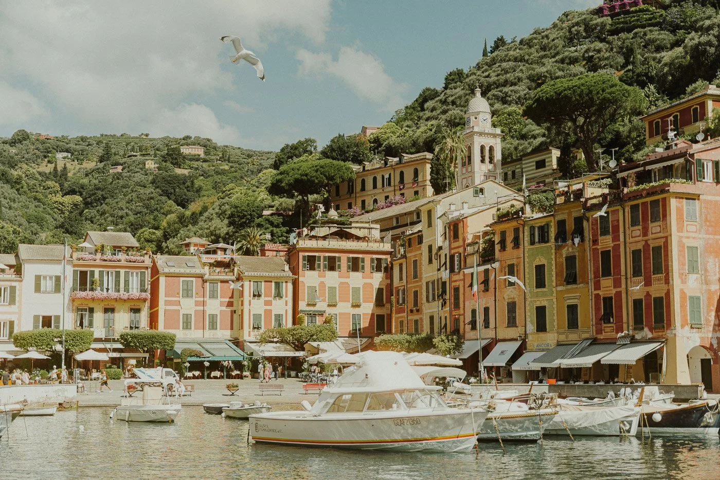Portofino bay.jpg