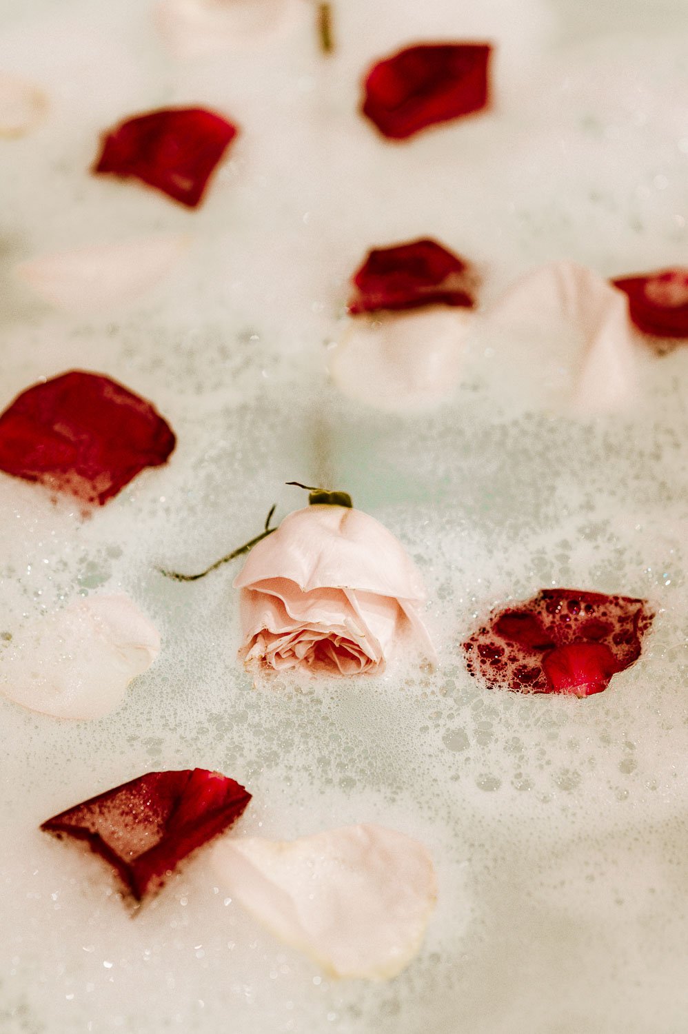 Chateau de la Treyne-website-026.jpg