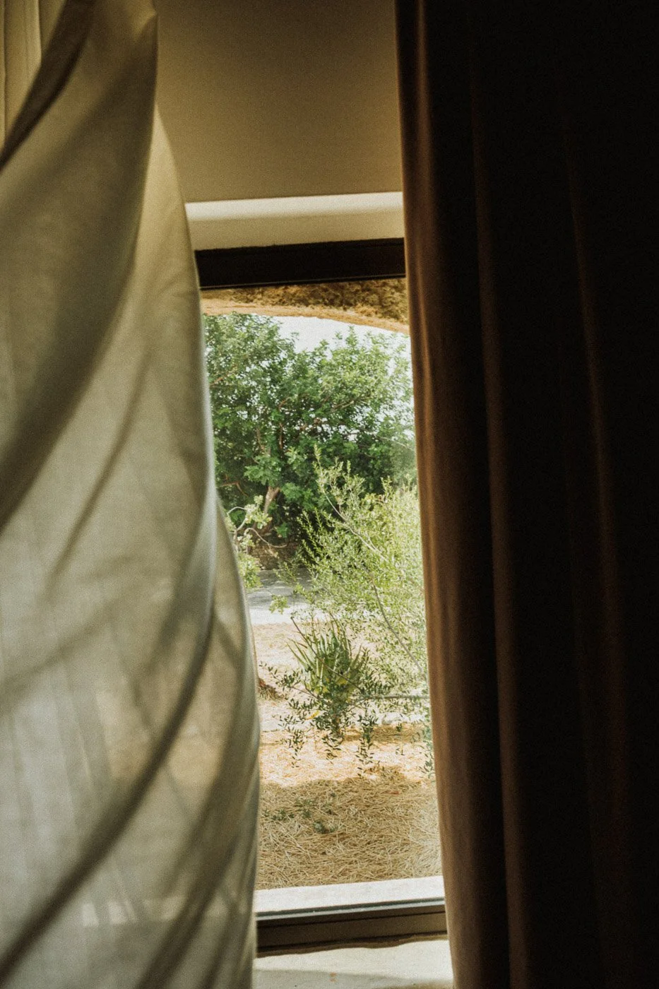 View looking out a window.jpg