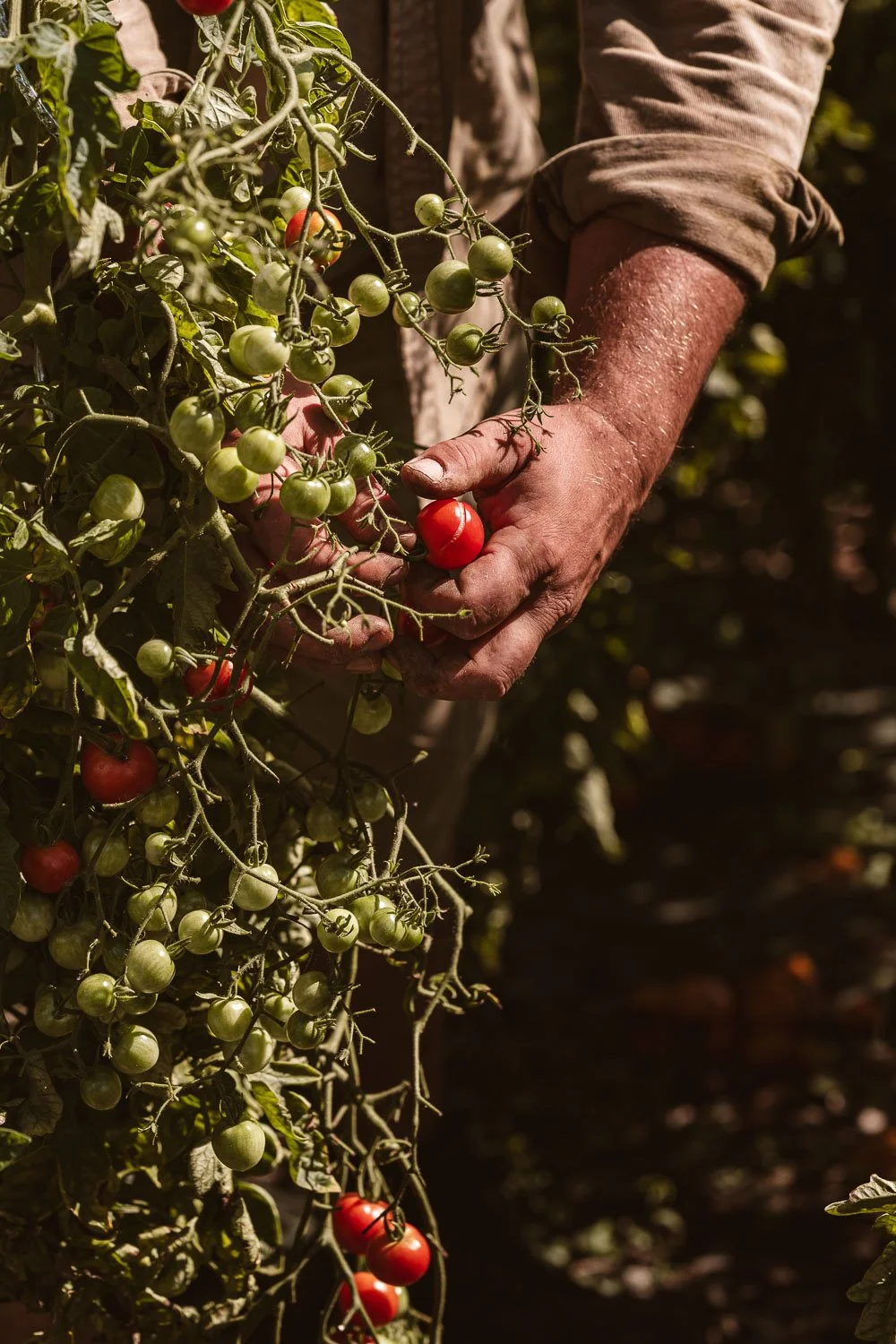 Chateau de la Treyne-website-076.jpg