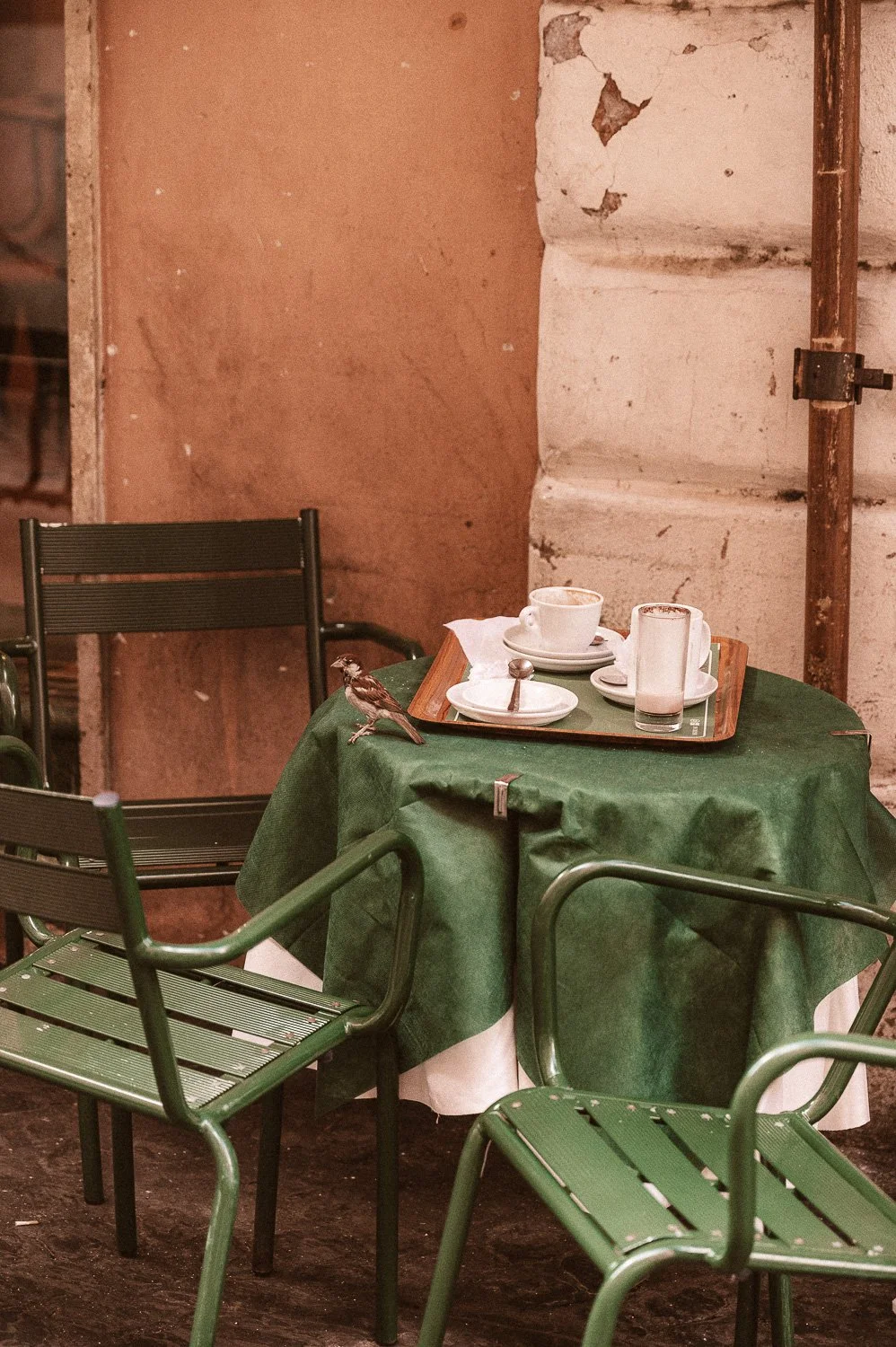 Sparrow on Café Table.jpg