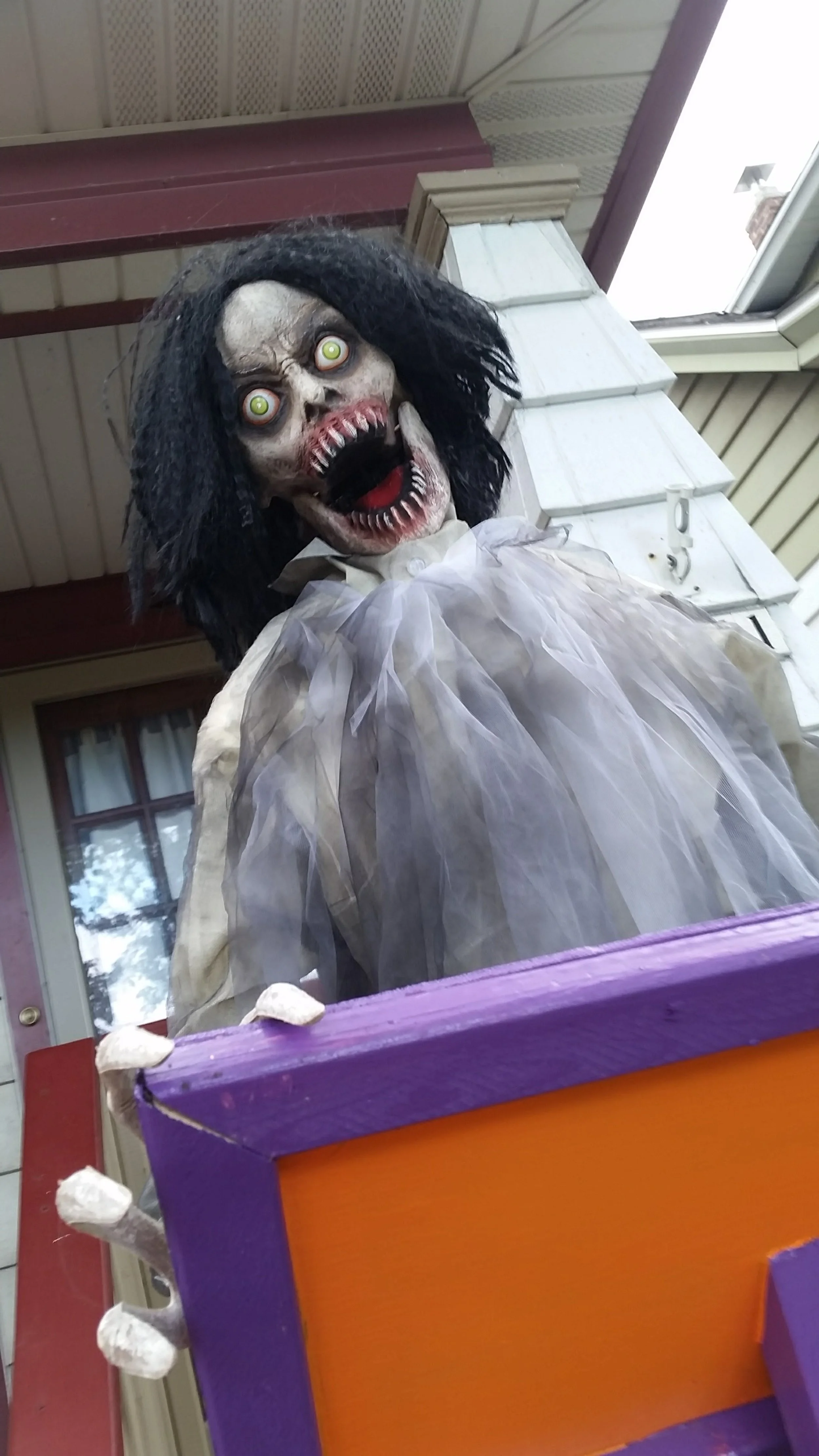 20161002_153605 (1).jpg