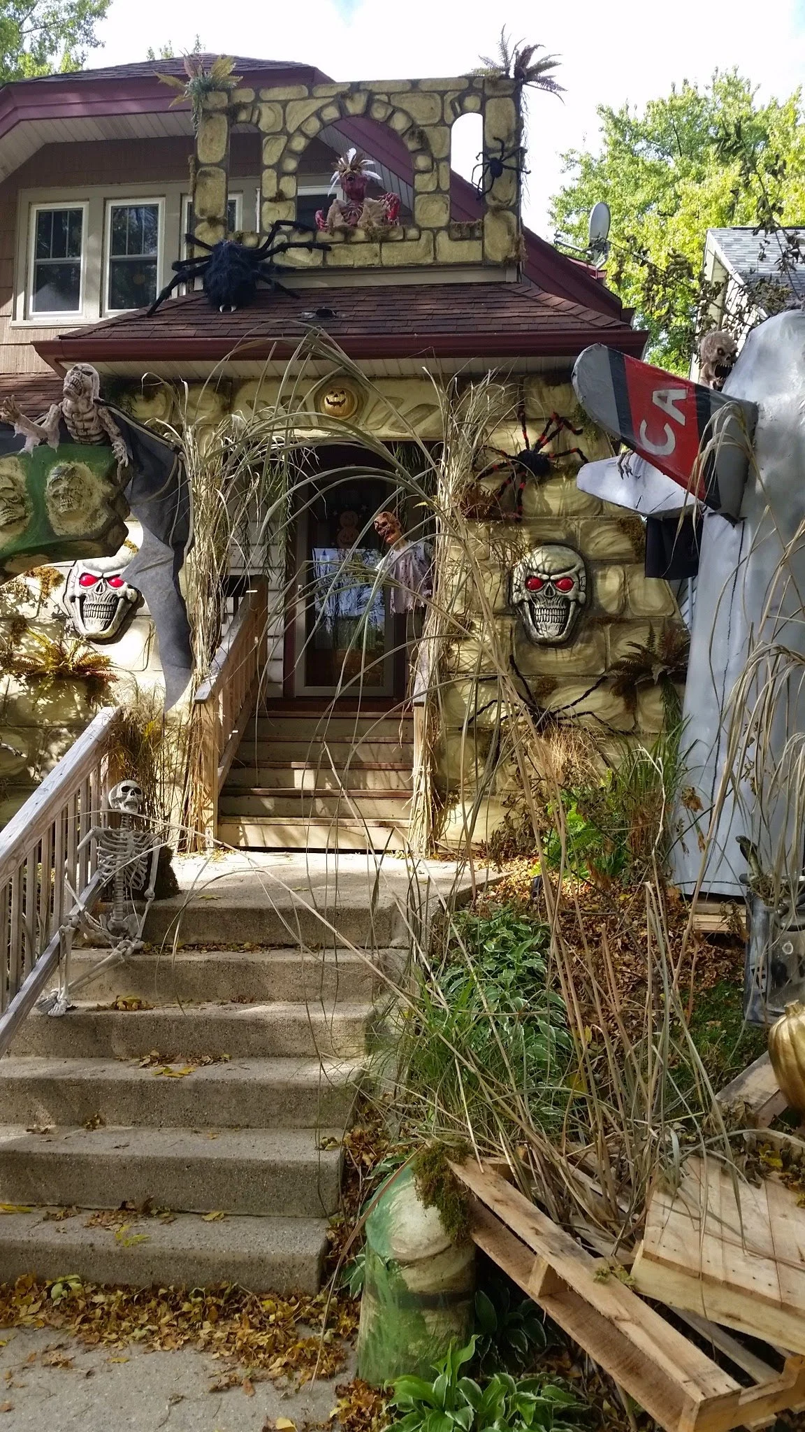 20141006_110611.jpg