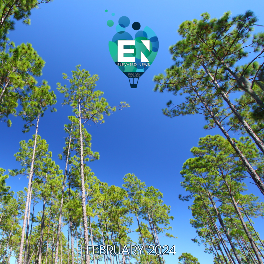 Outdoor Enrichment Opportunities at Summer Camp in the Panhandle