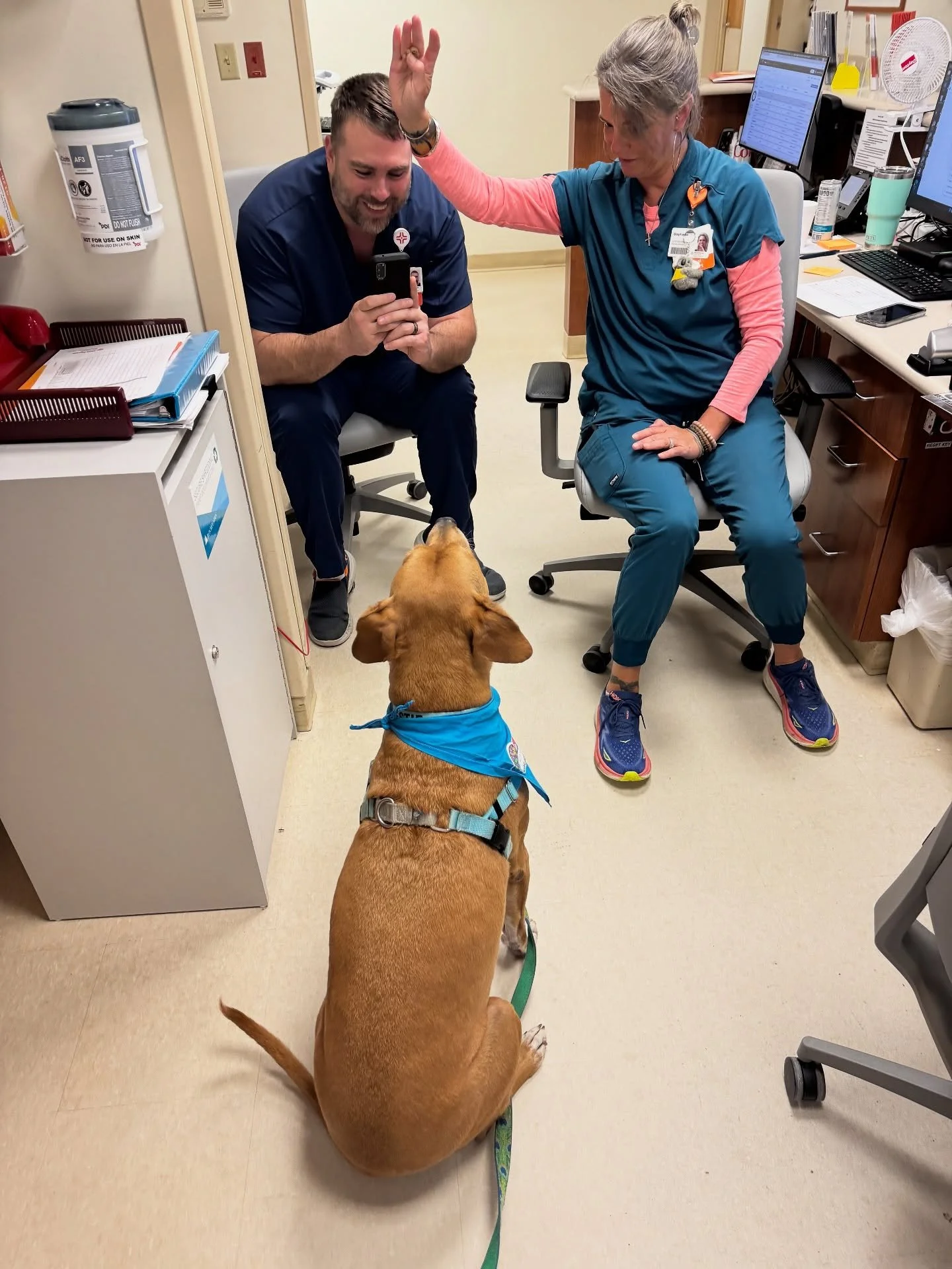 We had such a nice visit with our friends at the rehab center as always. Patients are also so happy to see a smiling face in the form of a Florida brown dog. ❤️🐾

A @dogharmonyinc therapy dog visit.

.
.
.
.
.
.
.
#dogharmony #humaneeducation #thera