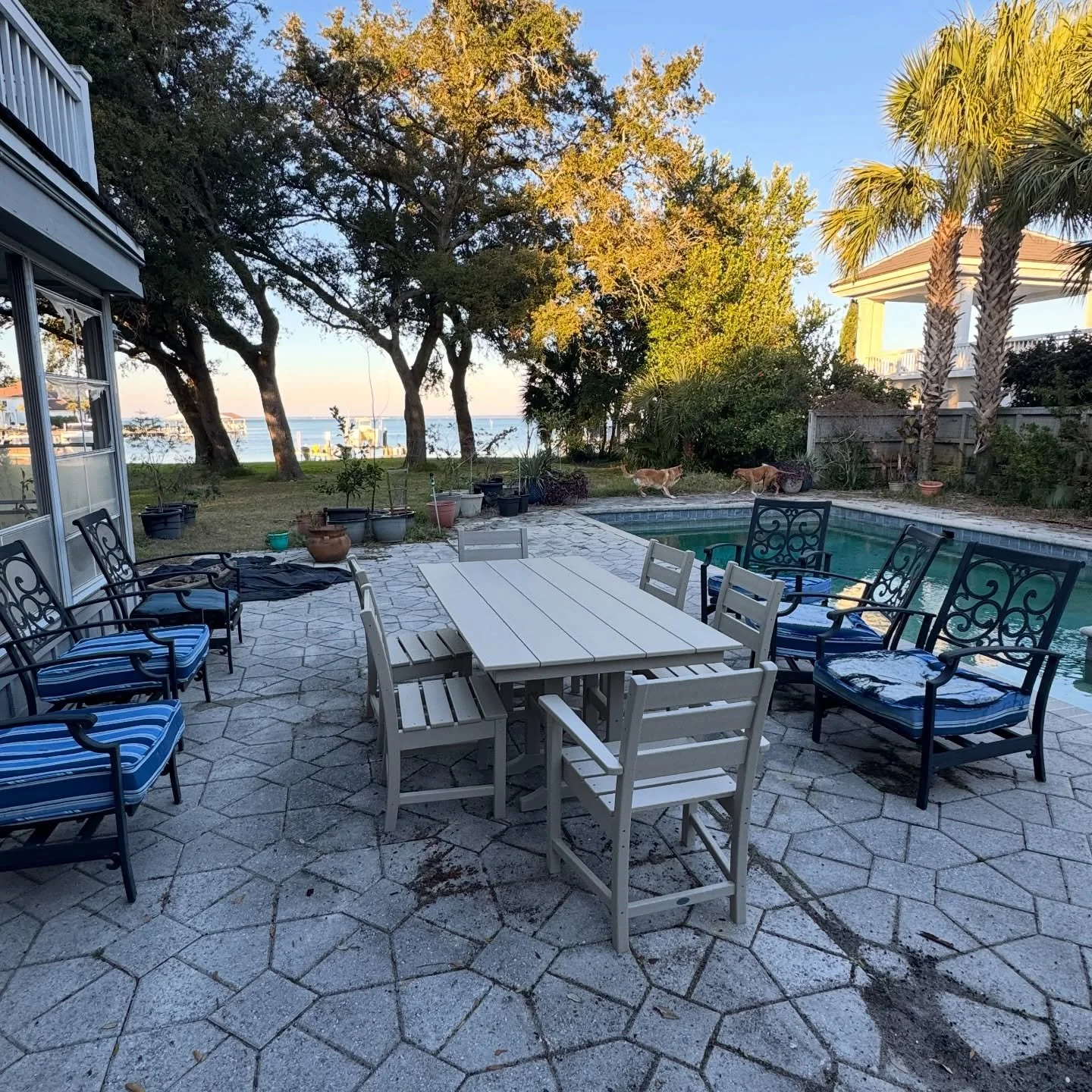 Day 1 of 2026. Durable outdoor dining and chairs assembled, dog zoomies commence as result. 🤣❤️🐾