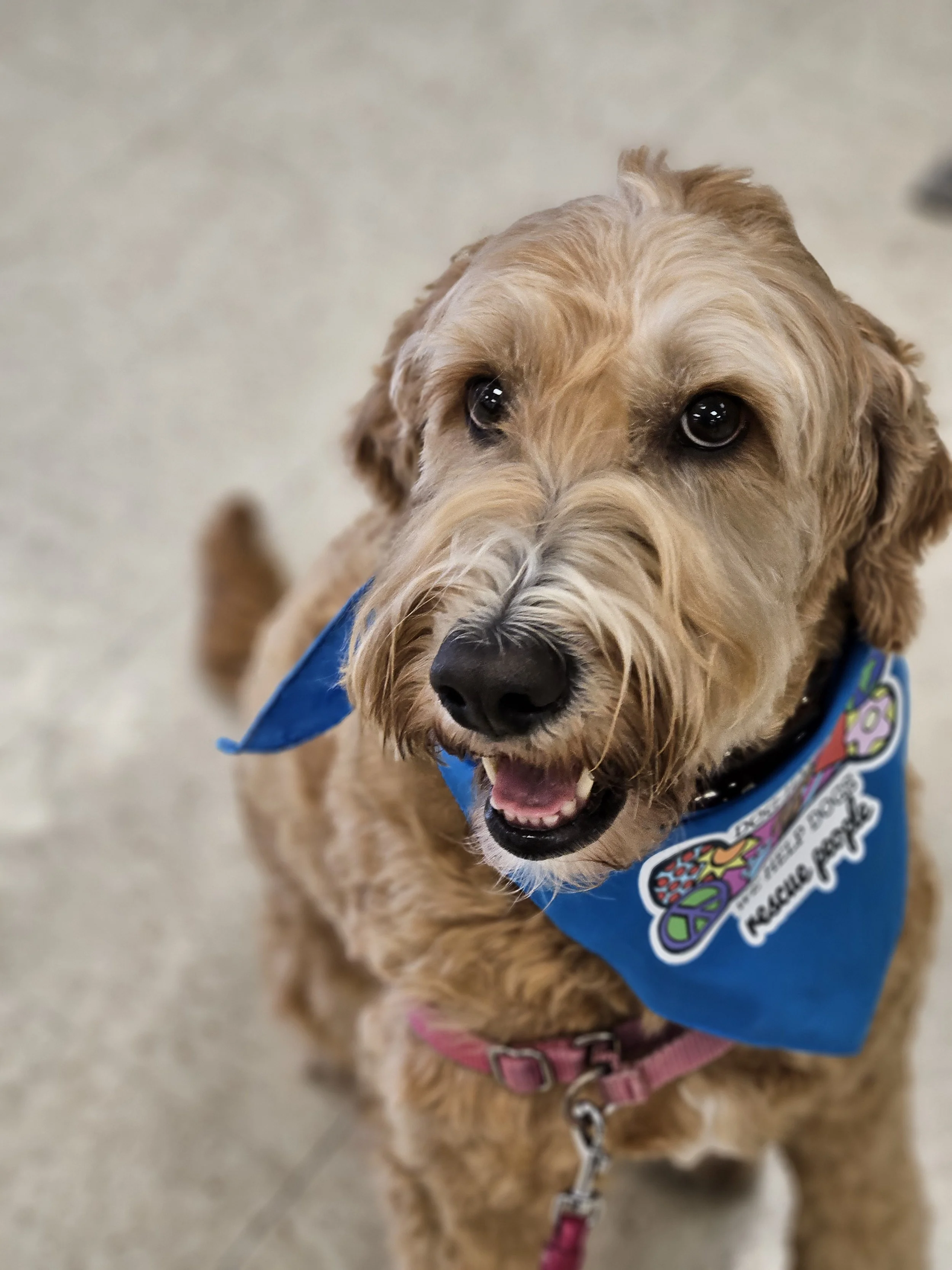 HCA Florida Twin Cities Hospital.jpg