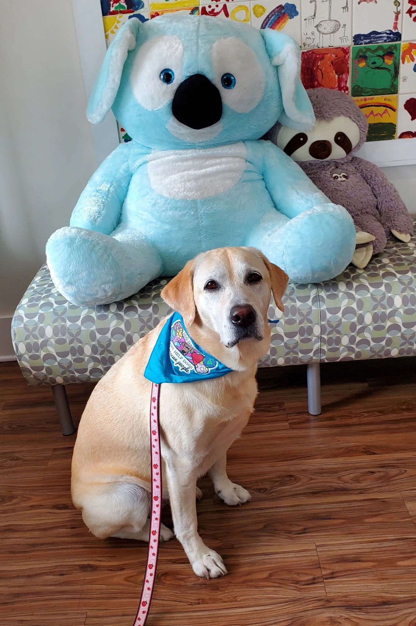Tillie (dog) and Theresa at Emerald Coast Children's Advocacy.jpg