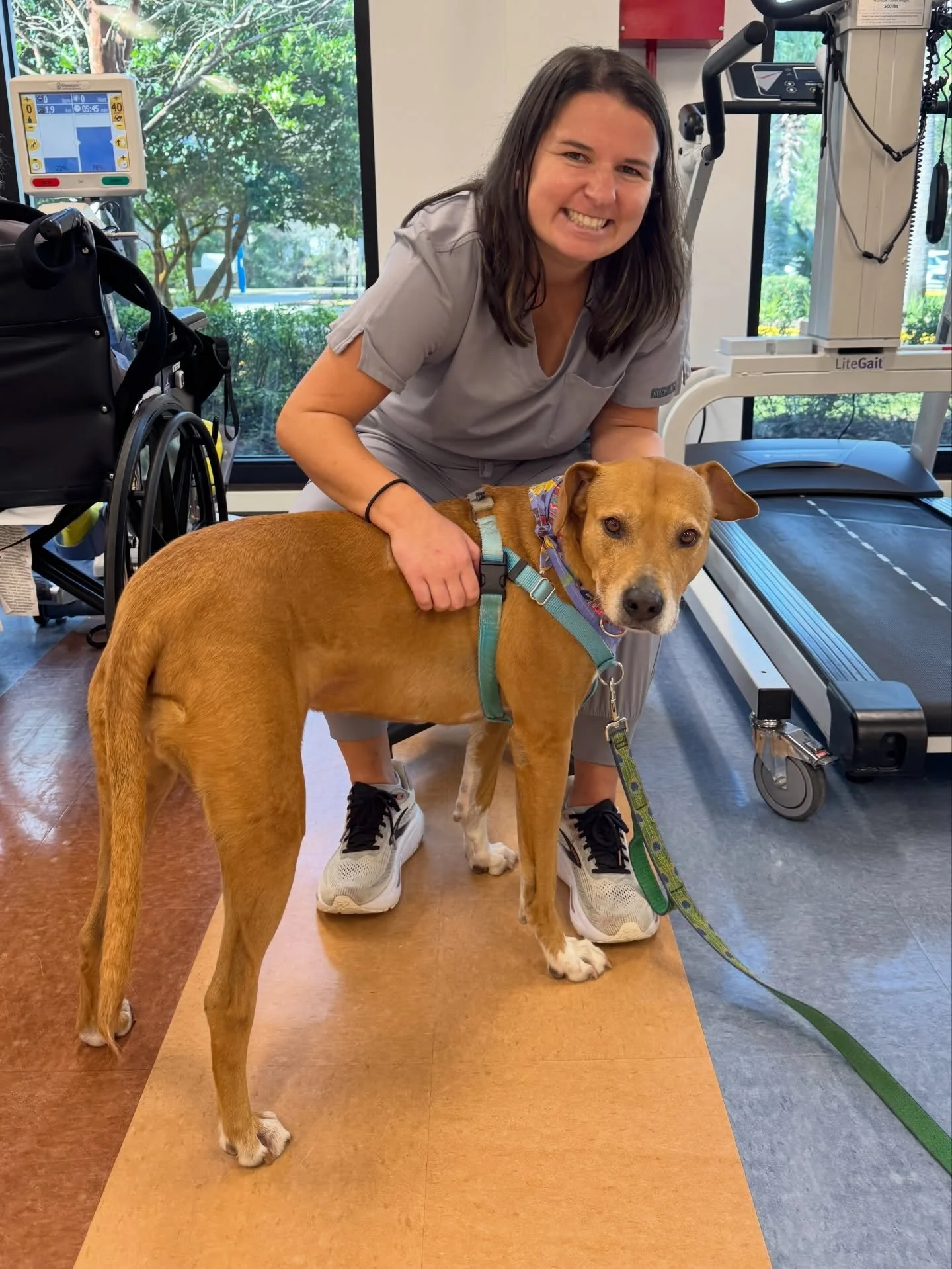 Another fun Friday visiting friends at the HCA rehab center! I provided @mary_boylan a proper lean-in and presented @brooke_rovillo5 the back end. 😂❤️🐾

A @dogharmonyinc therapy dog visit.