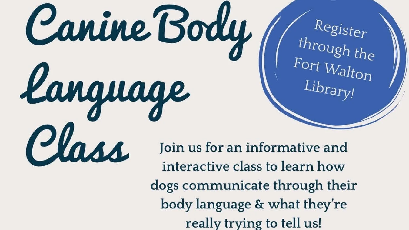 Canine Body Language Class