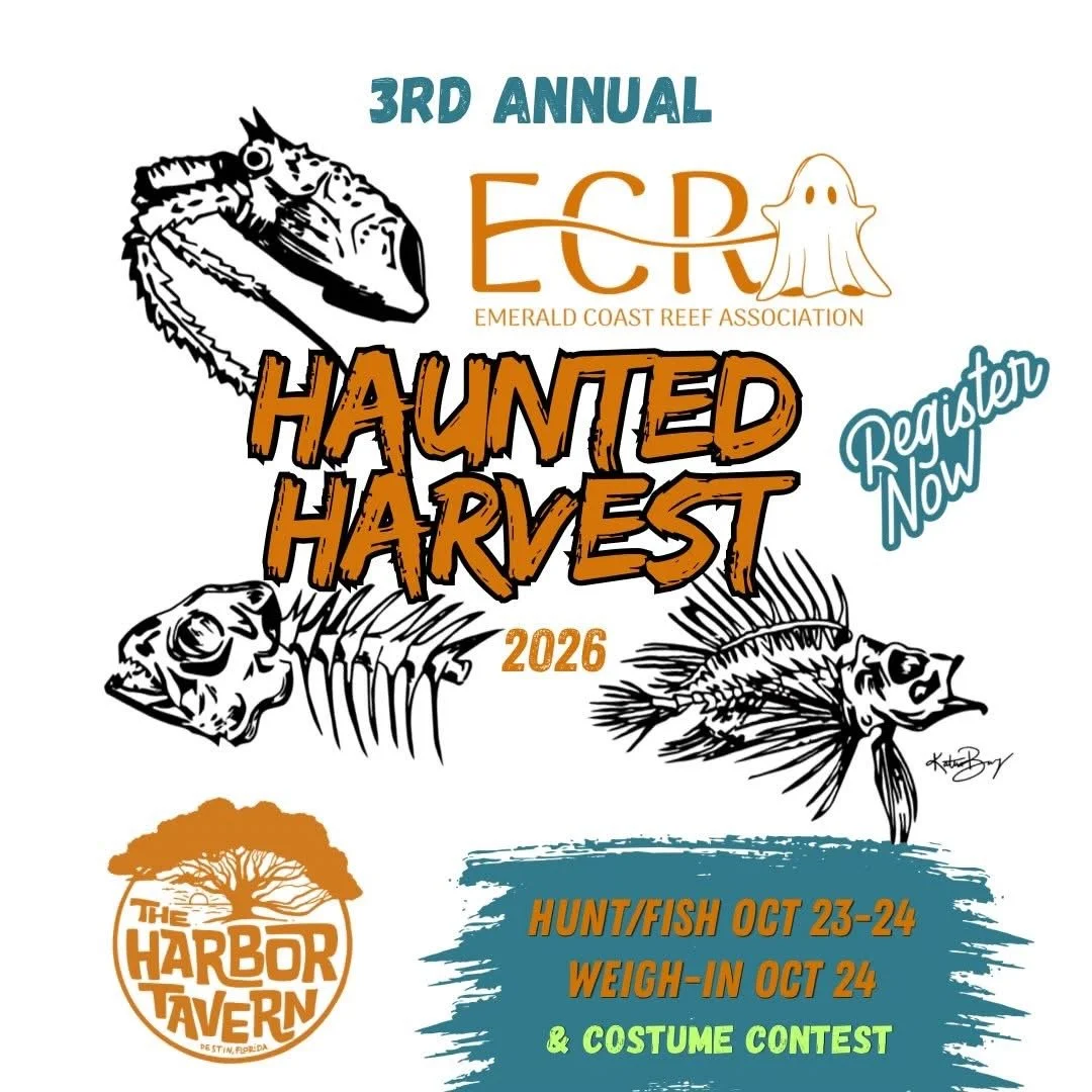 3rd Annual Haunted Harvest Tournament