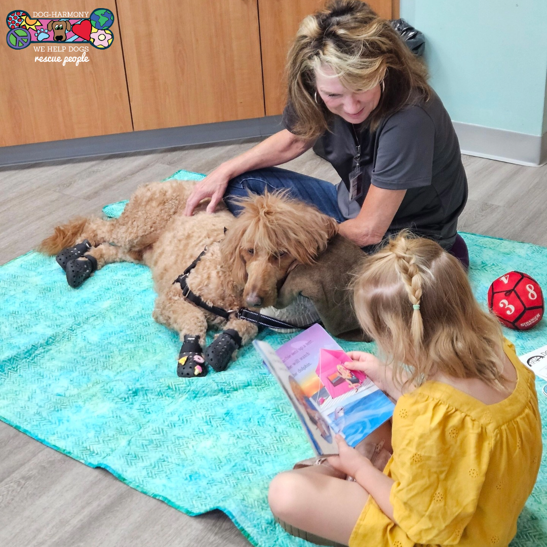 a photograph of a dog-harmony therapy dog team sitting on a blanket with a girl reading a book to them at a library in okaloosa county, florida