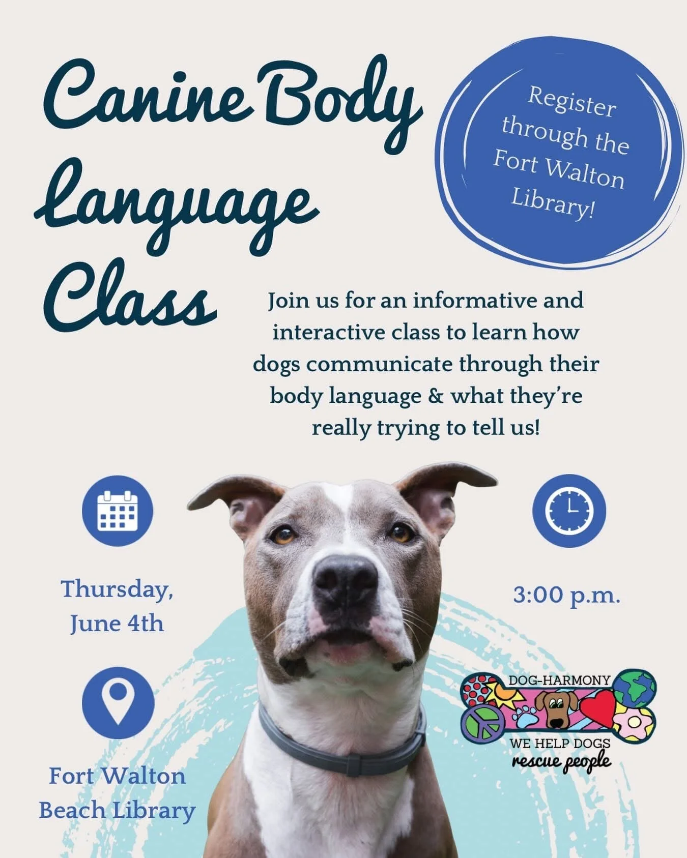 graphic featuring an image of a gray and white pitbull promoting dog-harmony's canine body language class at fort walton beach library on june 4, 2026, at 3:00 p.m.