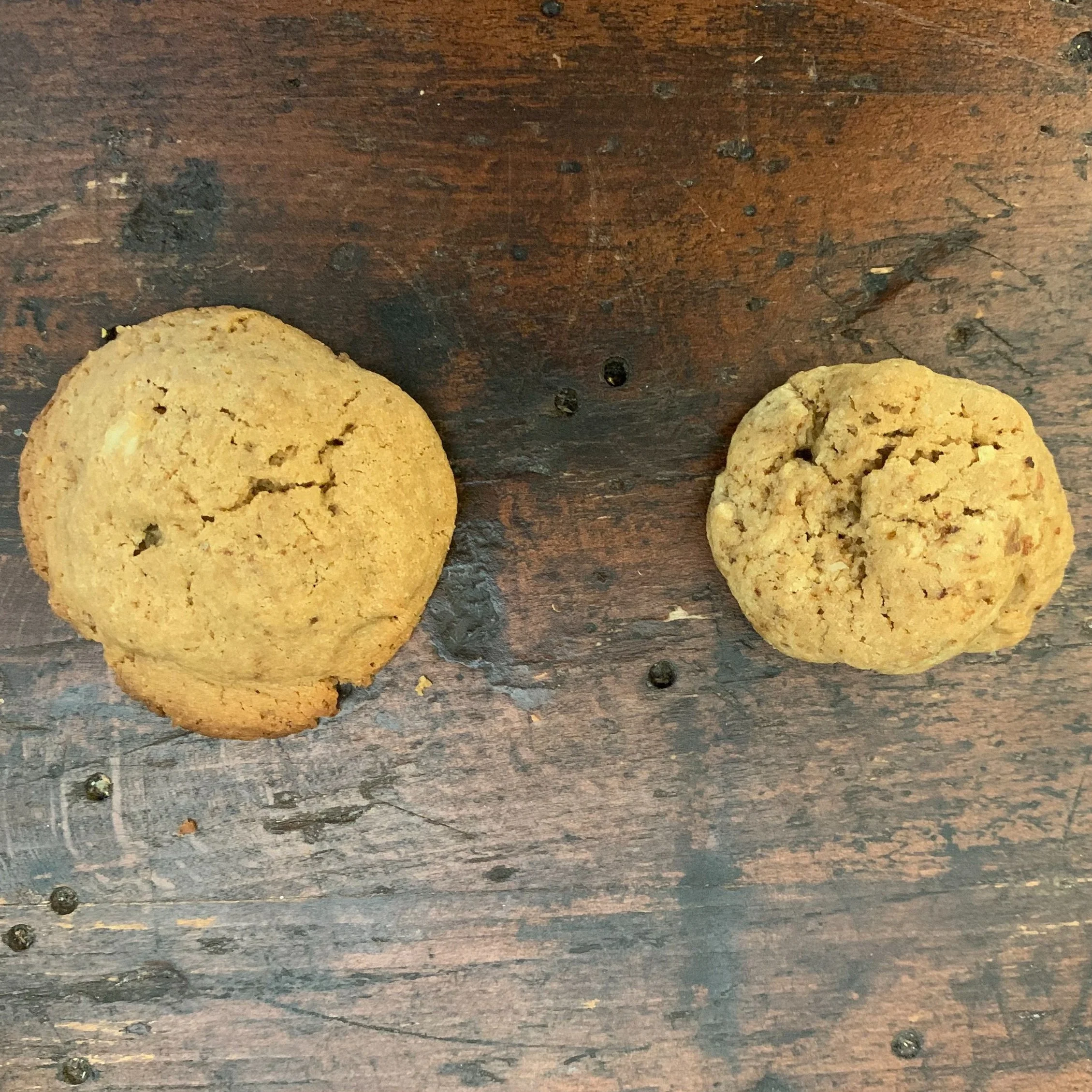 Coffee and Walnut Cookies for New Neighbors — How to Be a Domestic Demigoddess