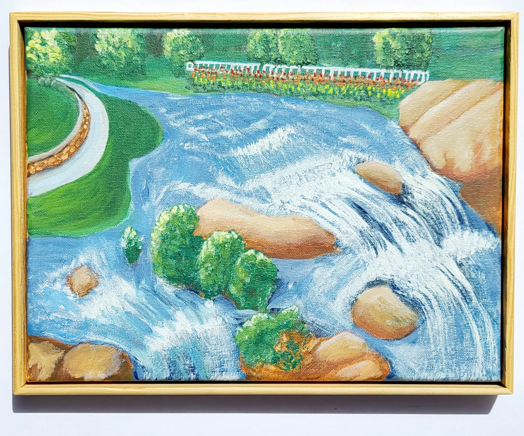 Greenville - Falls at Reedy River - Ava