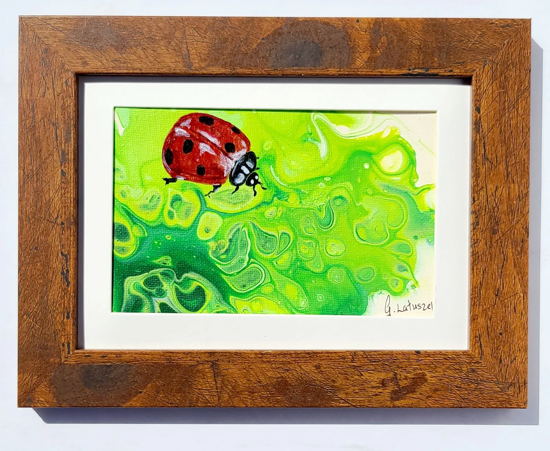 Ladybug