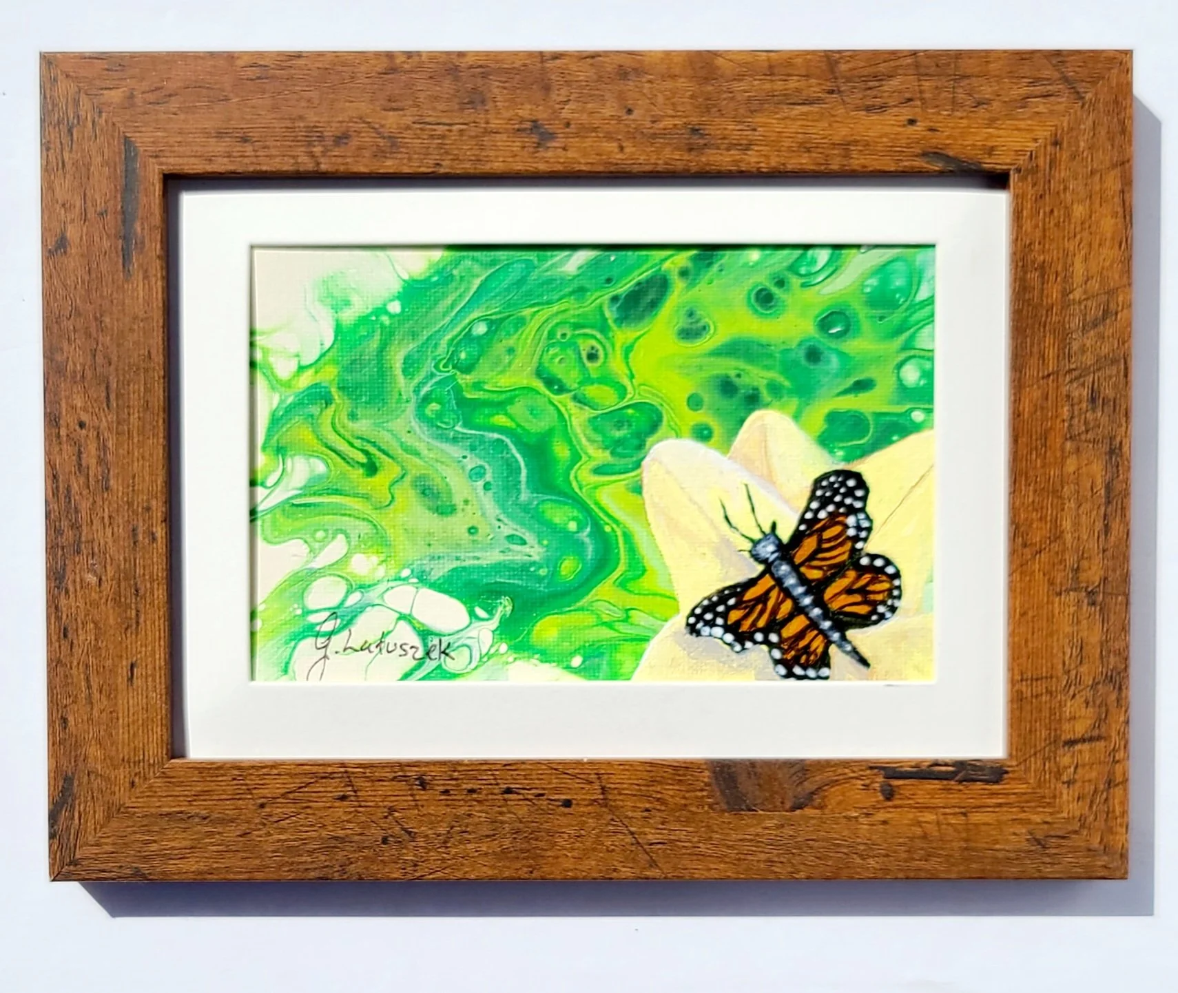 Monarch
