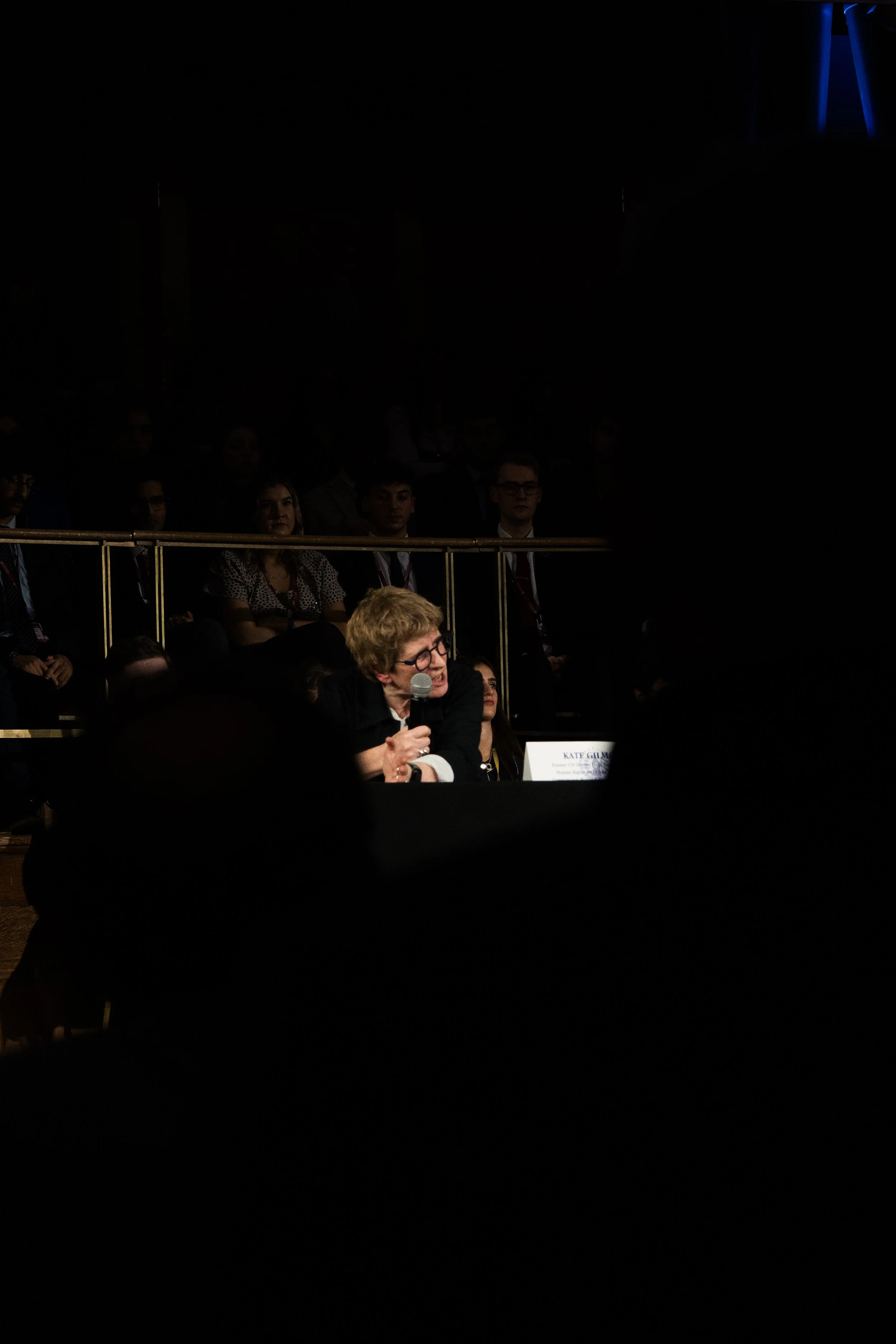 Copy of LiMUN26.Kate.Gilmore-22.jpg