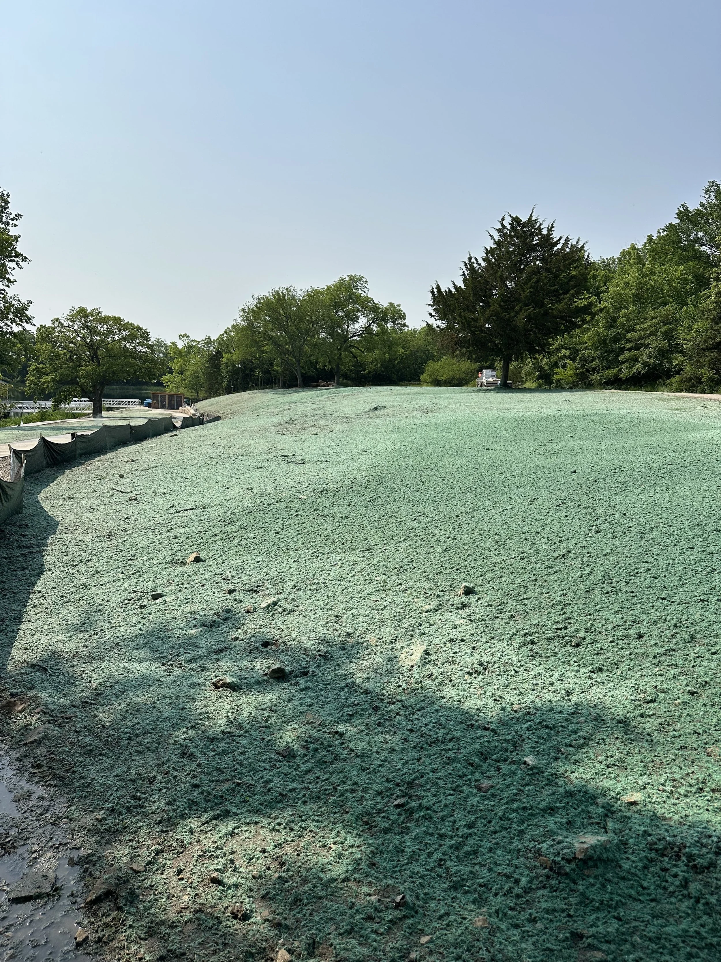 hydroseeding1.jpeg