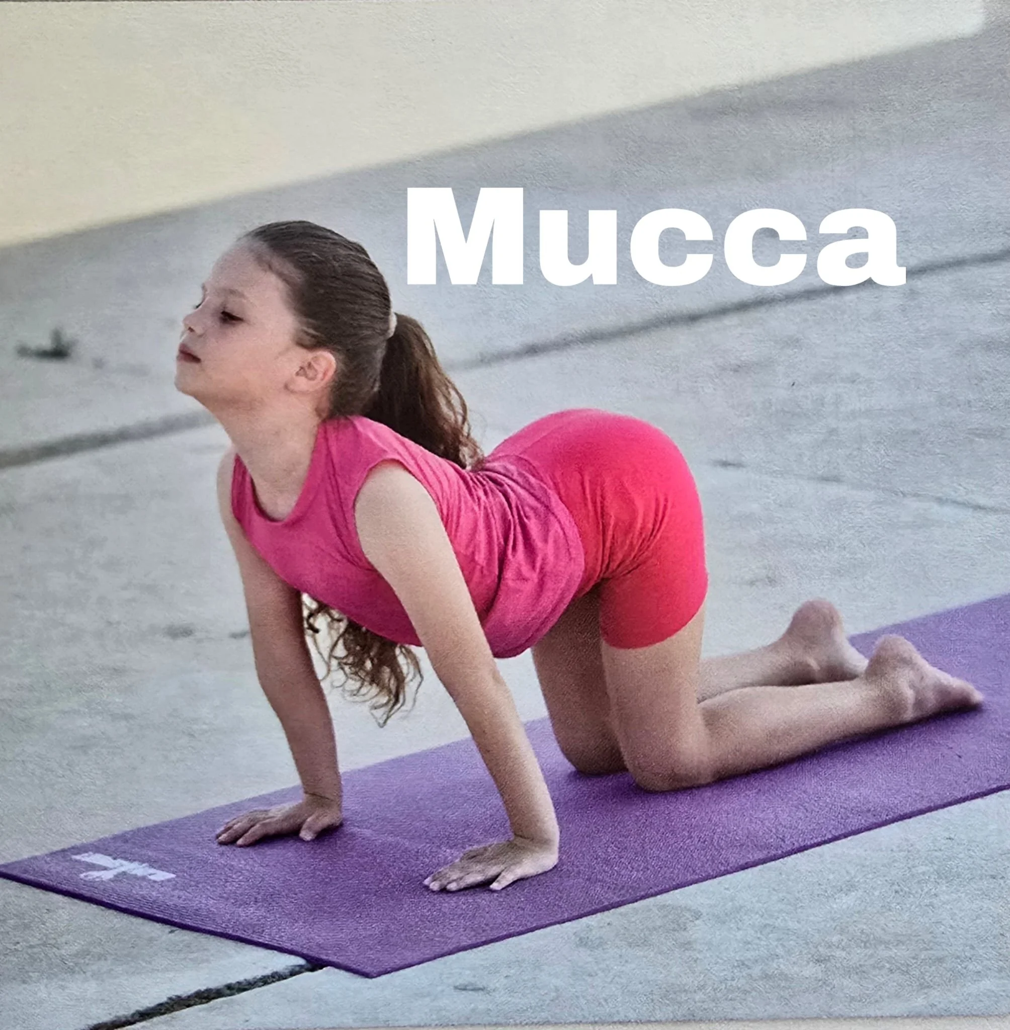 mucca.jpg