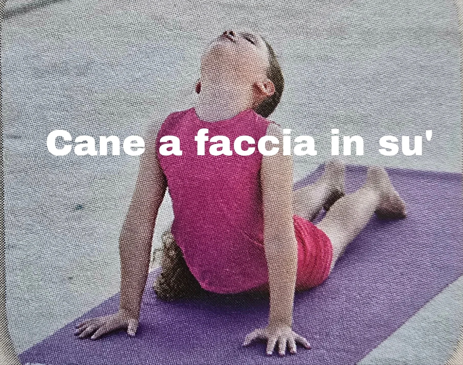cane sù.jpg