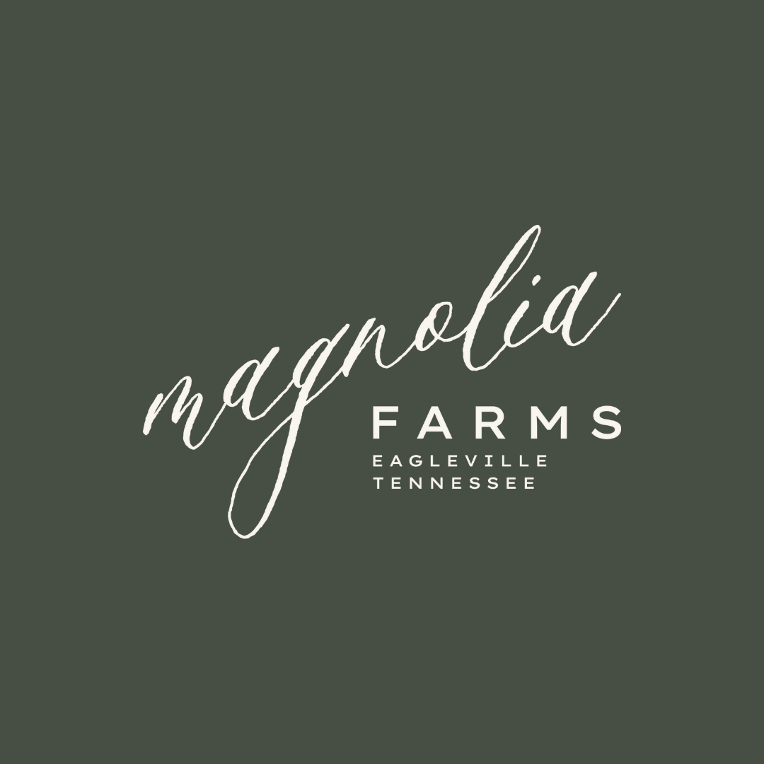 Gallery 2 — Lawson House