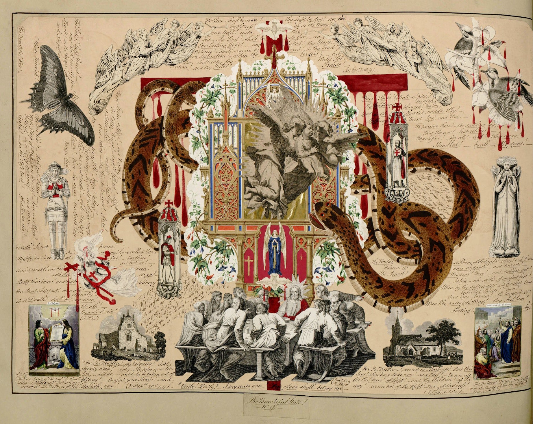 John B. Garland Blood Collage