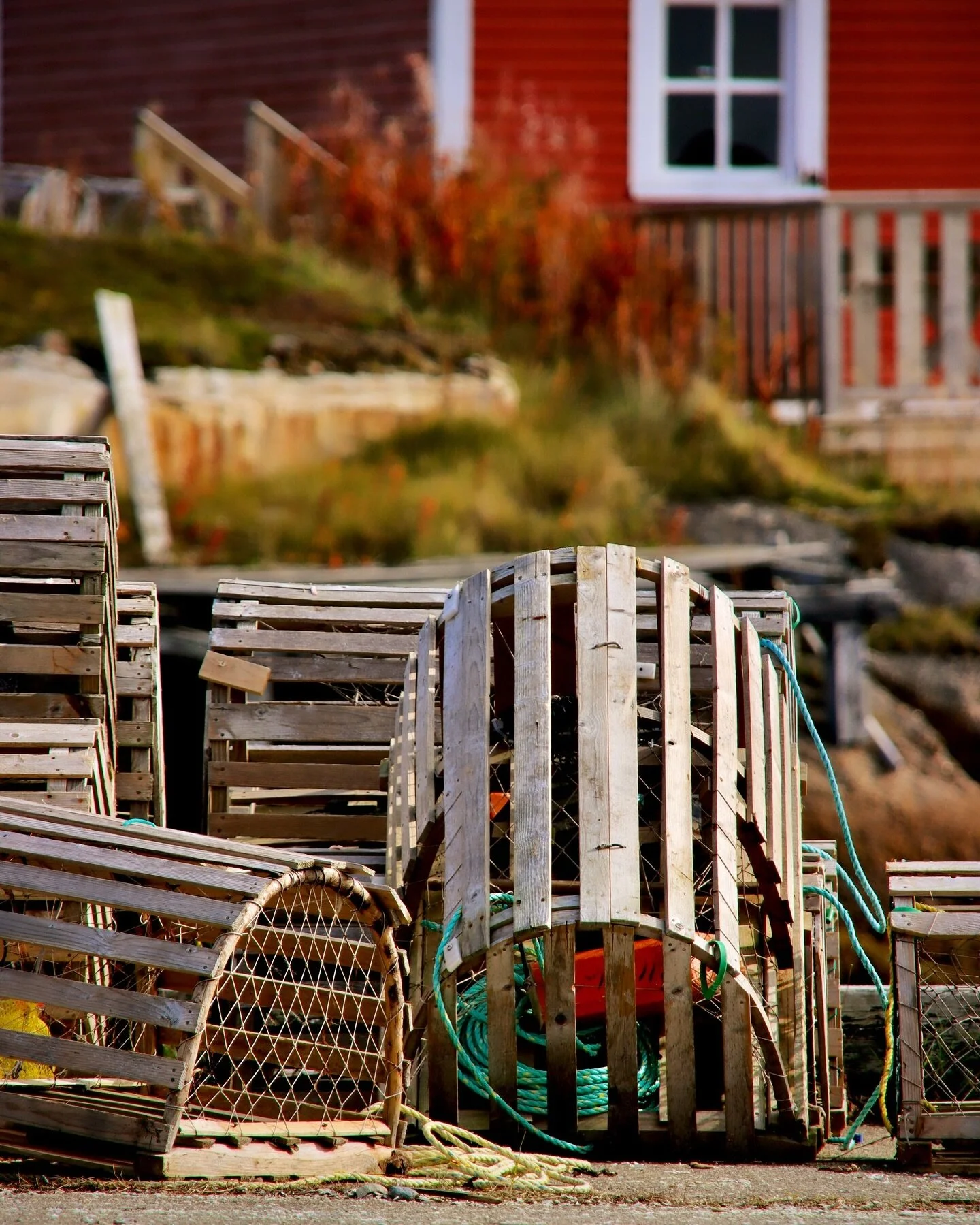 Remembering The Petty Harbour Bait Skiff — Product of Newfoundland