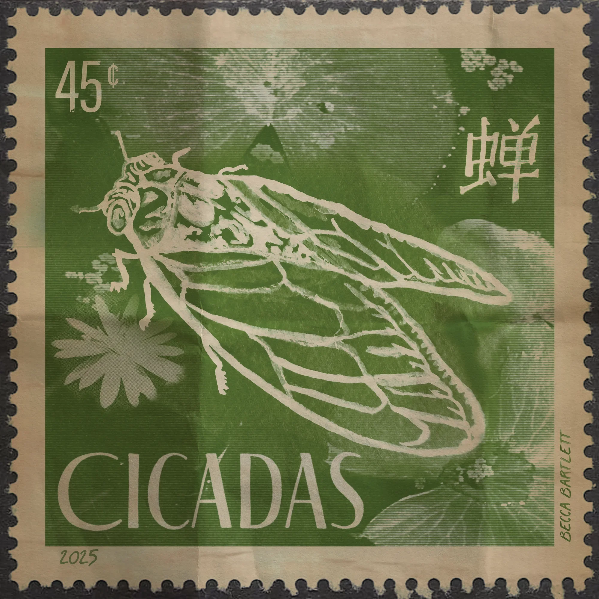 Cicadas by Becca Bartlett