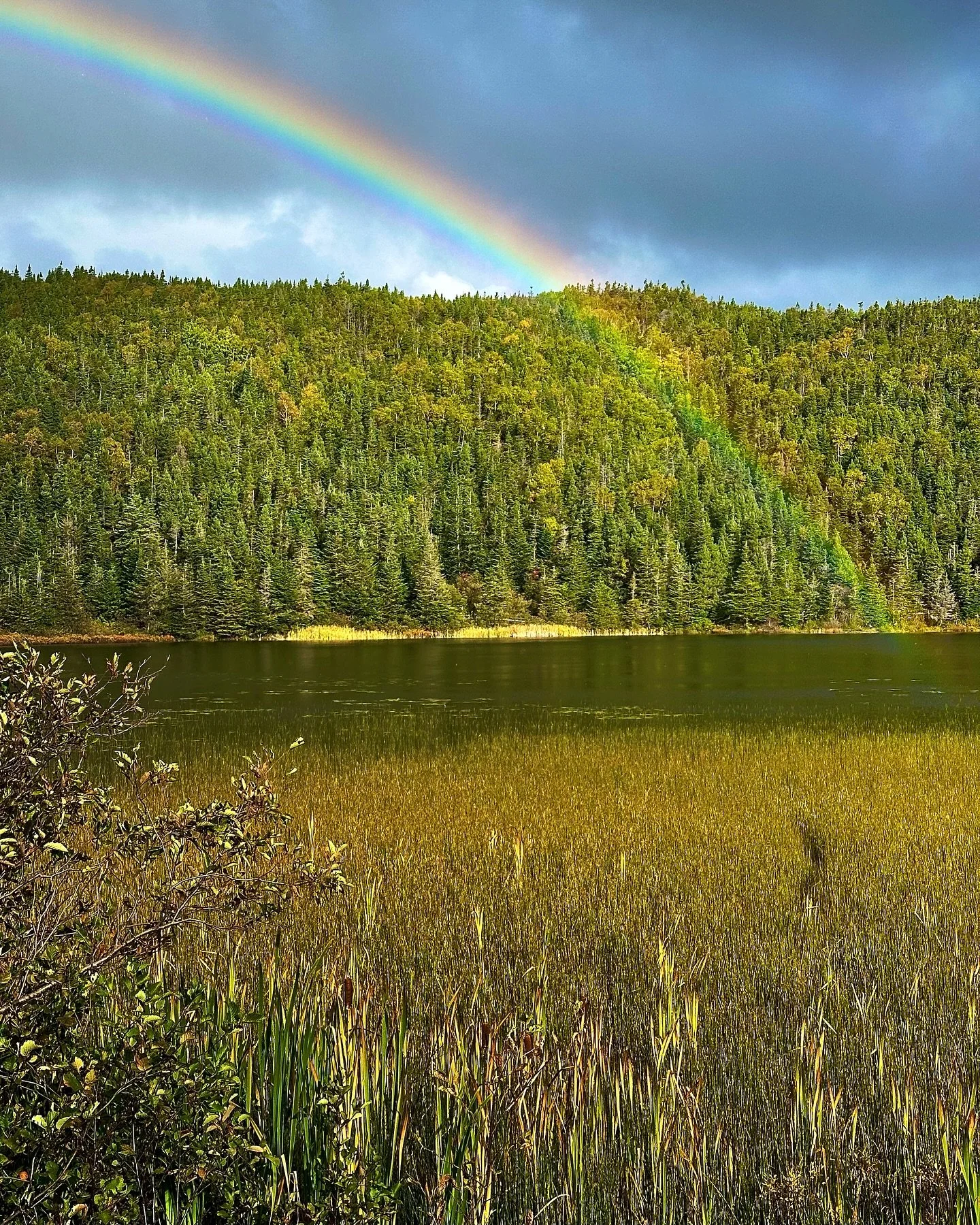 I came very close to getting a pot of gold today… if only I had a canoe!
—
#rainbow #newfoundland #exploreNL #nlwx