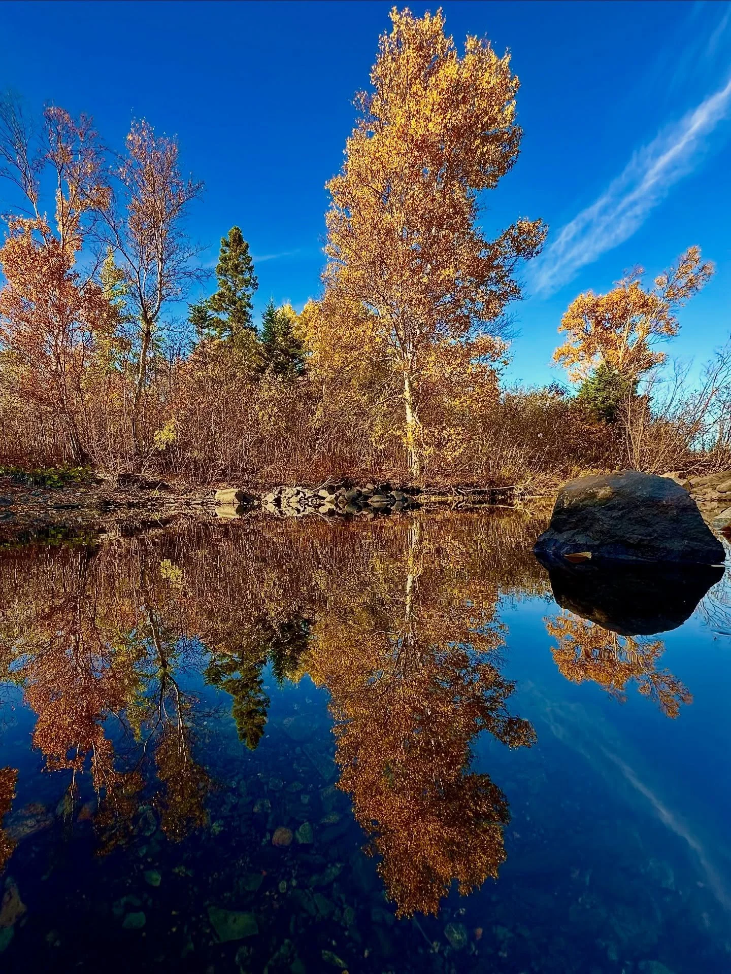 Fall colours.
Borrowed, Newfoundland and Labrador
—
#newfoundland #explorenl #reflections #fallcolours