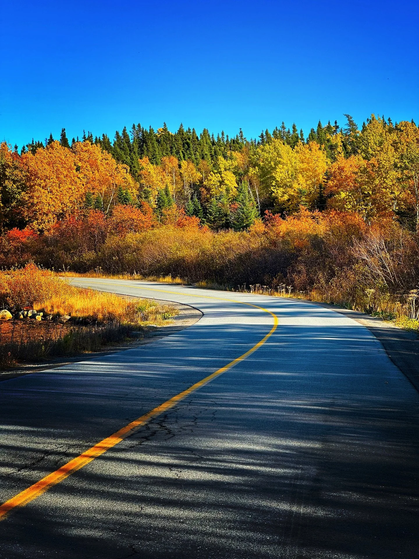 It has been a spectacular fall, colour-wise anyway! Hope whatever lies around the bend is just as beautiful.
—
#exploreNL #Newfoundland #centralnewfoundland