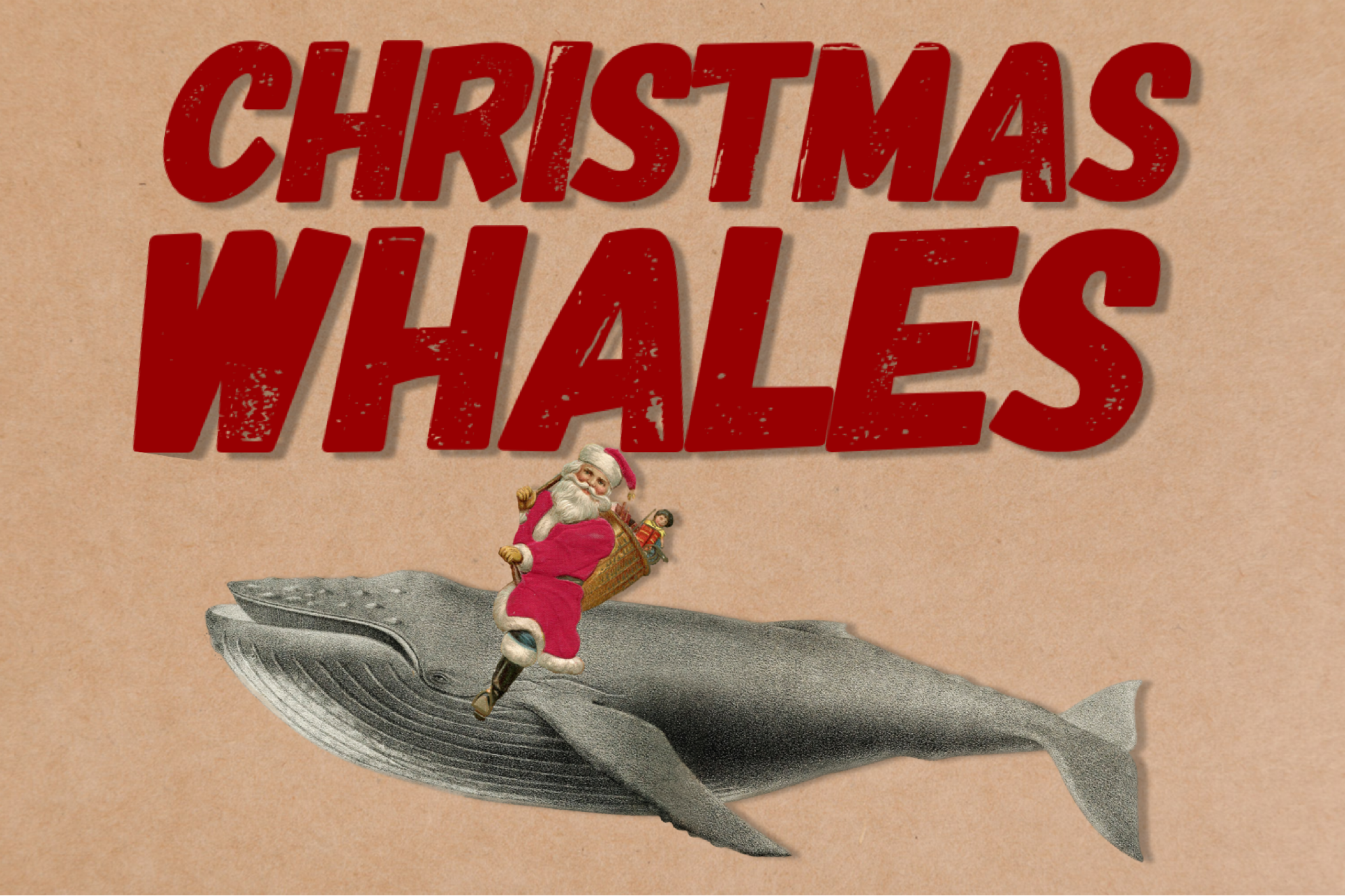 The True Story of Newfoundland’s Christmas Whales
